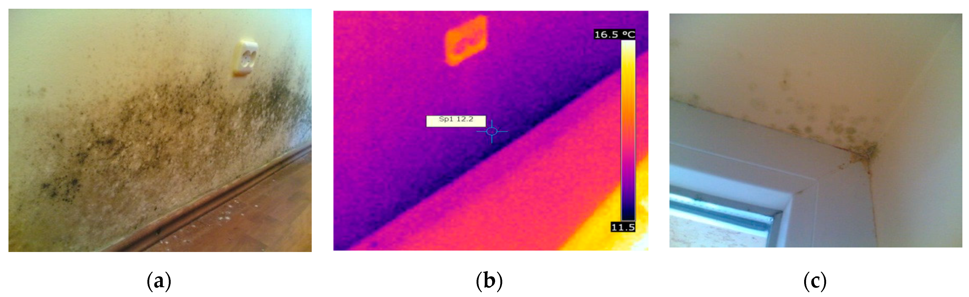 Sustainability 11 06824 g007 Sustainability 11 06824 g007
