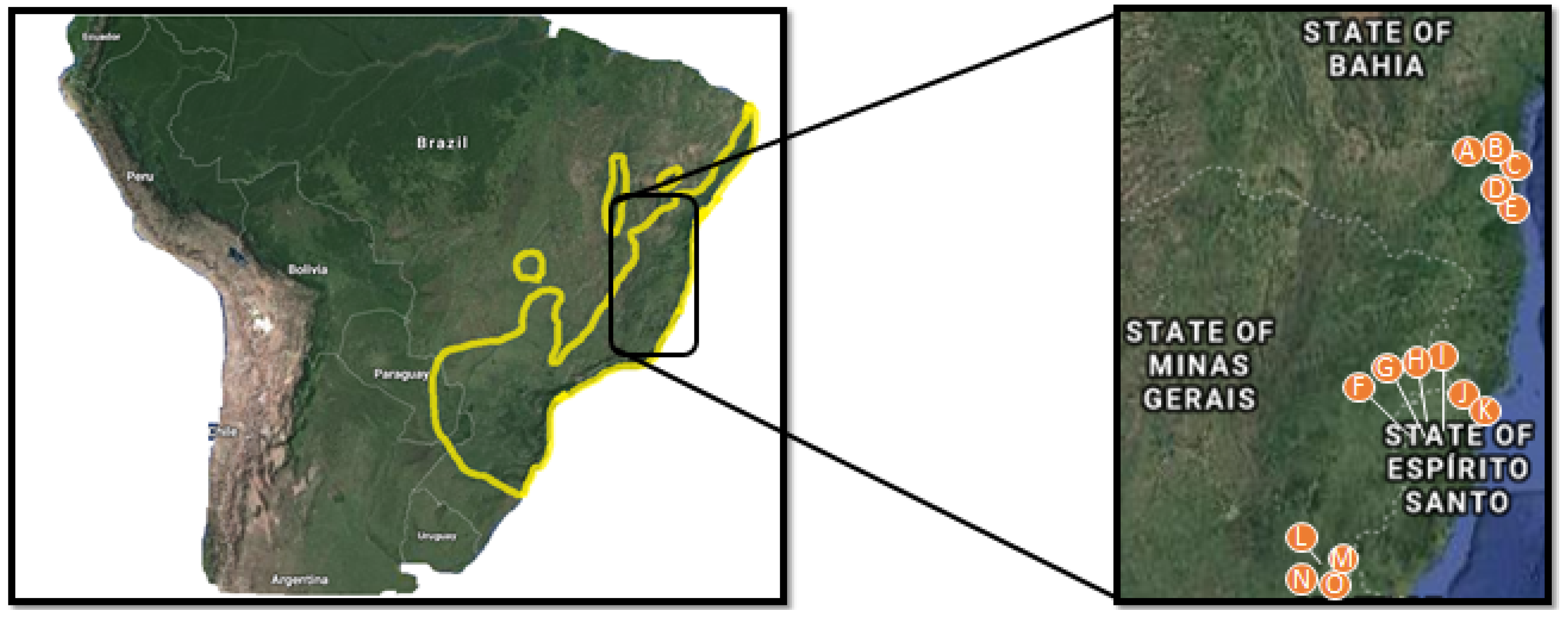 Sustainability 11 06932 g001