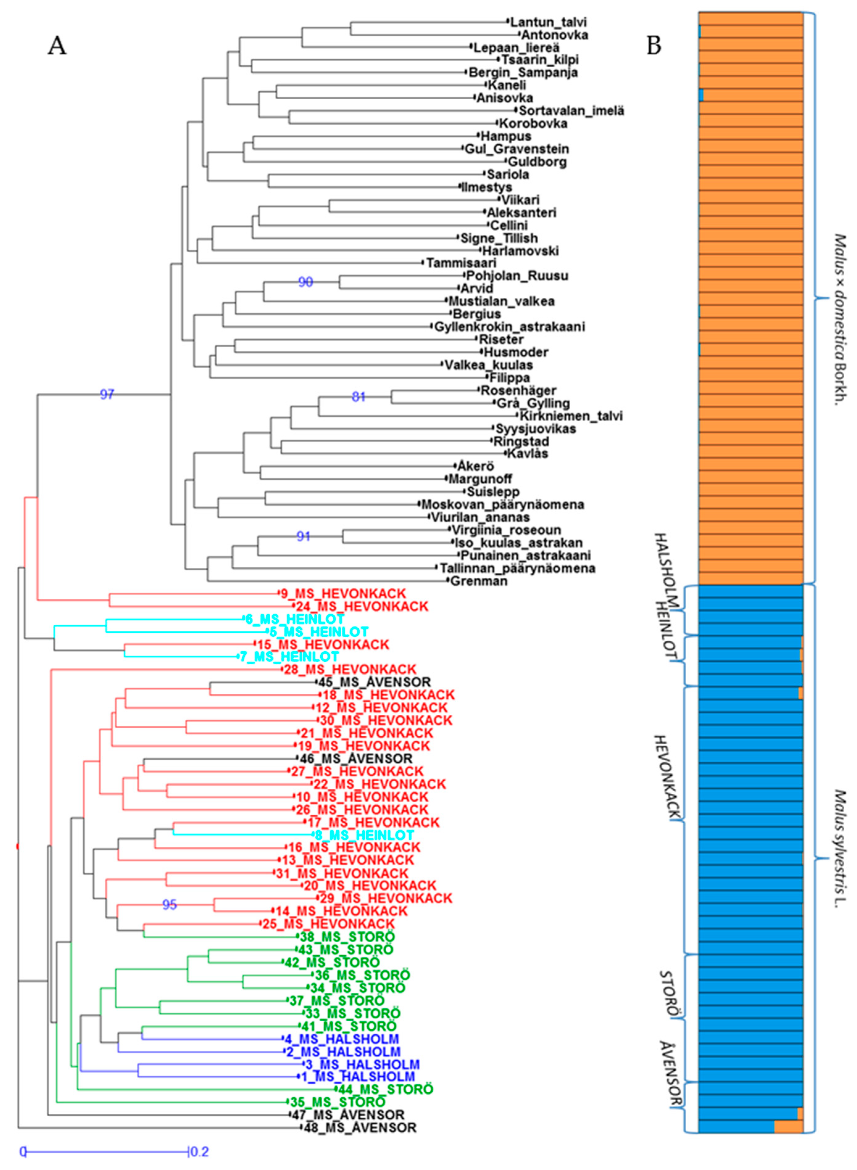 Sustainability 11 06949 g002