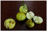 Sustainability 11 06949 i002