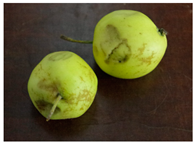 Sustainability 11 06949 i003