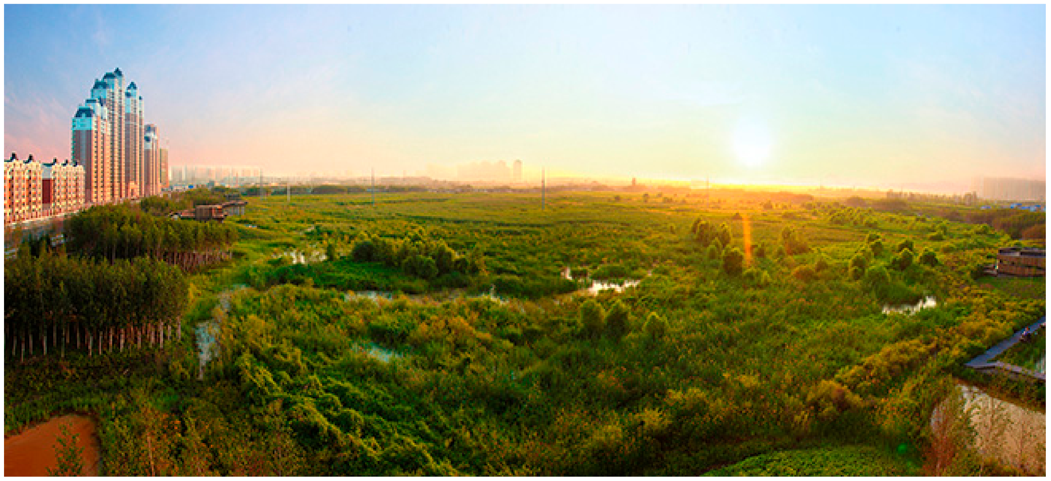 Sustainability 11 06981 g009