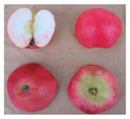 Sustainability 11 07000 i005