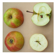 Sustainability 11 07000 i007