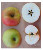 Sustainability 11 07000 i008