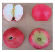 Sustainability 11 07000 i009