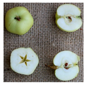 Sustainability 11 07000 i010