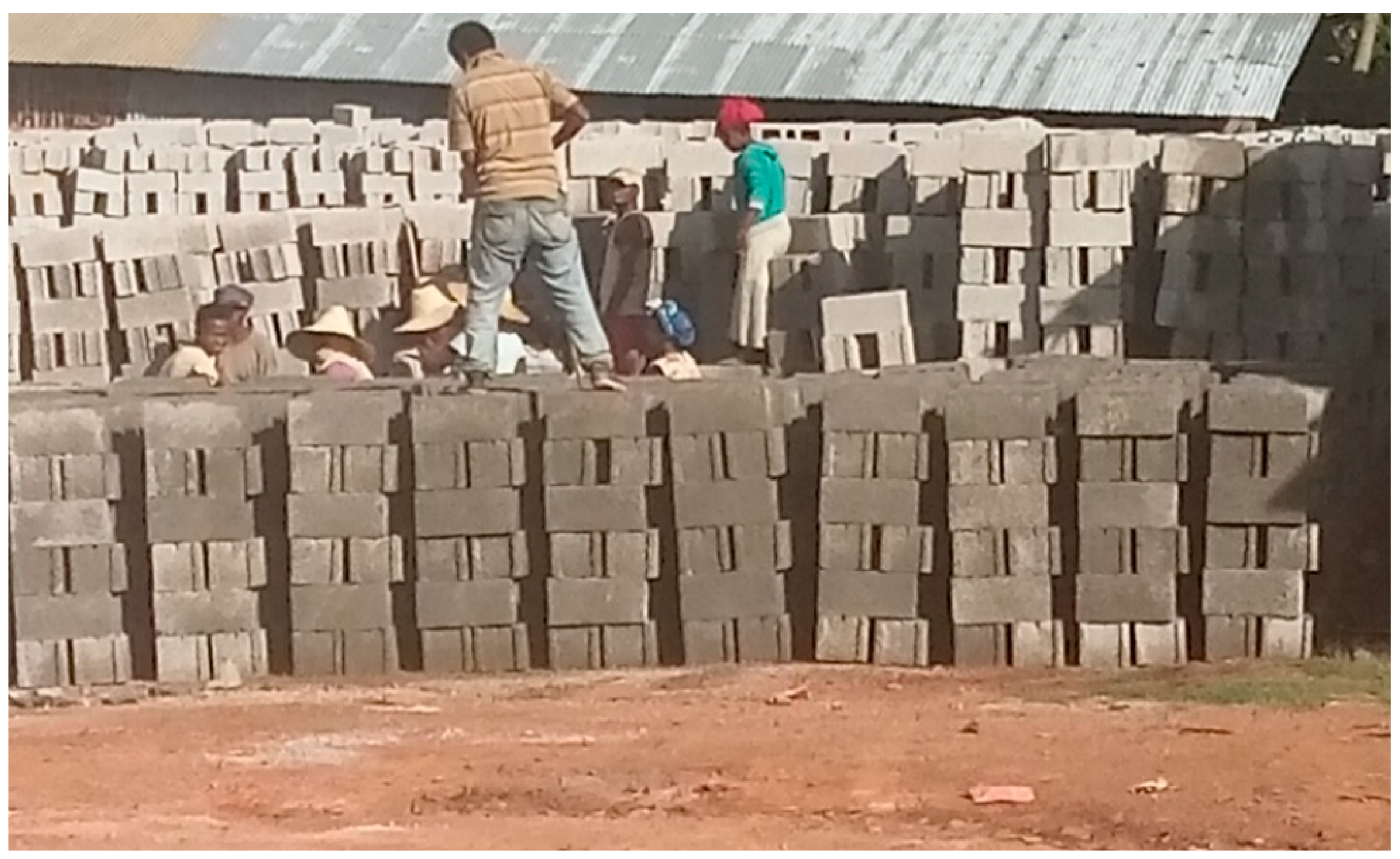 Sustainability 11 07116 g001