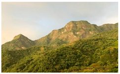 Sustainability 11 07132 i003