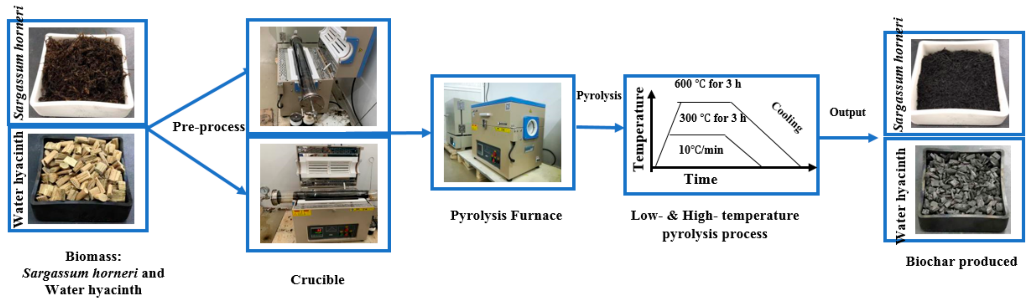 Sustainability 11 07136 g001