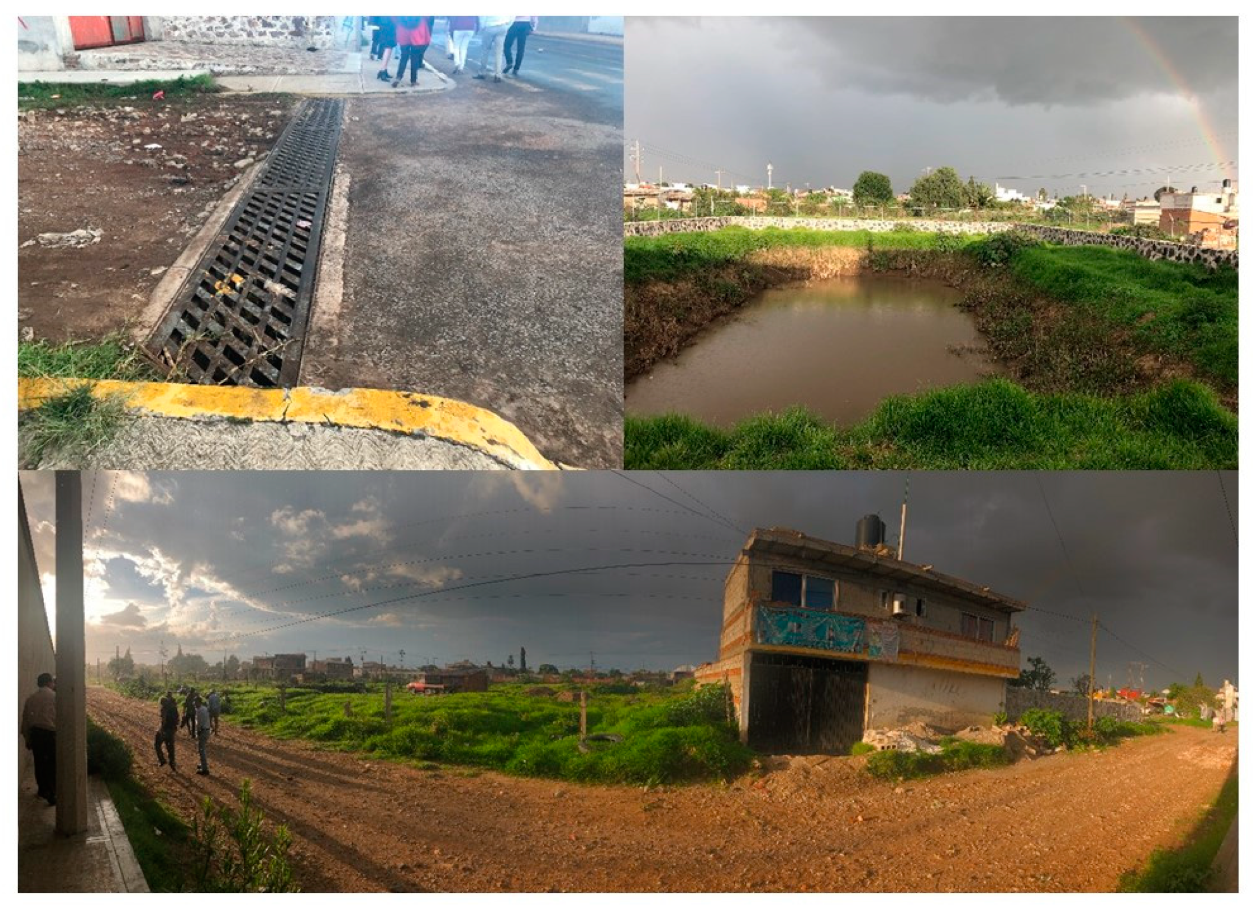 Sustainability 11 07144 g005