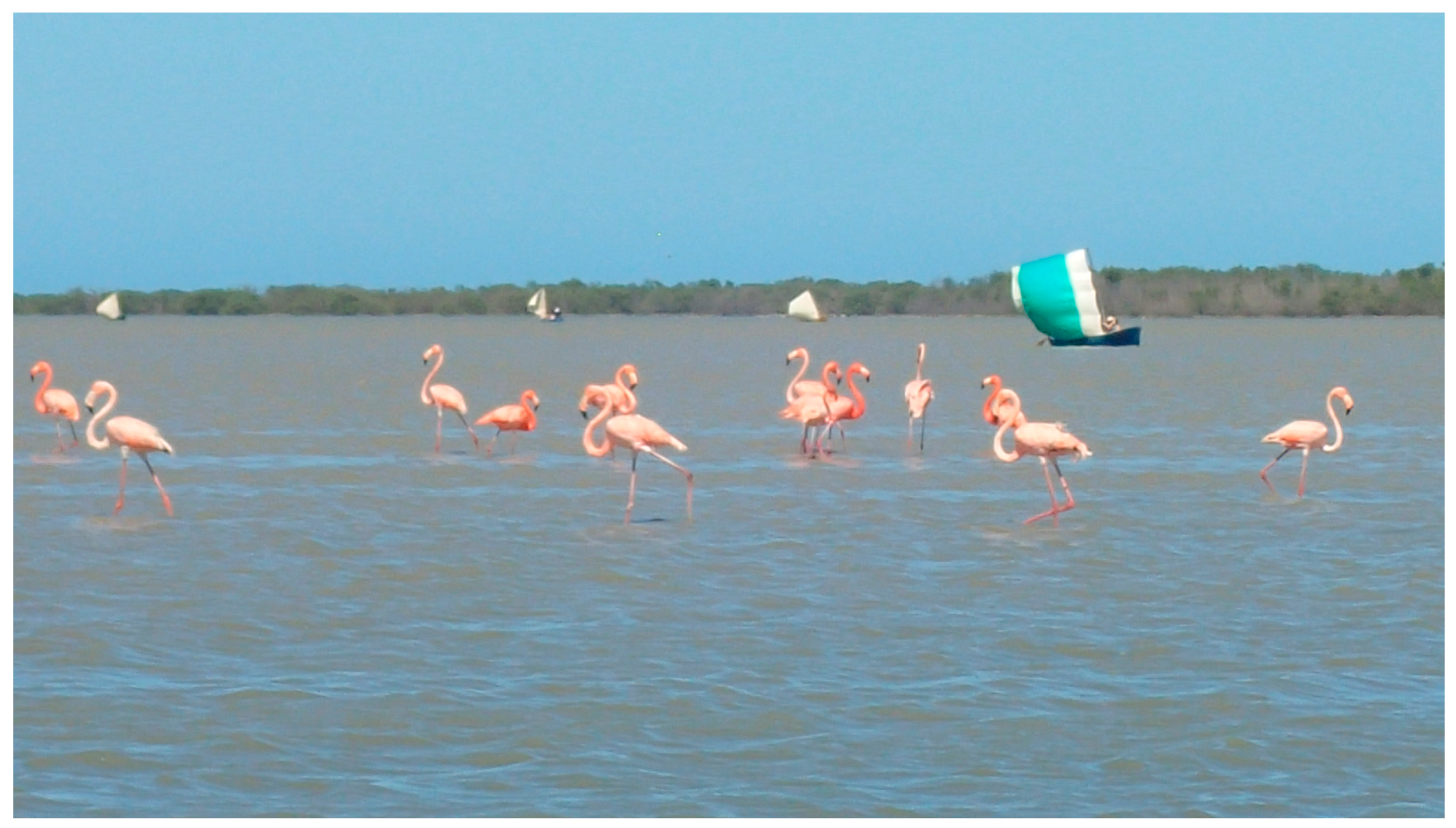 Sustainability 11 07190 g007