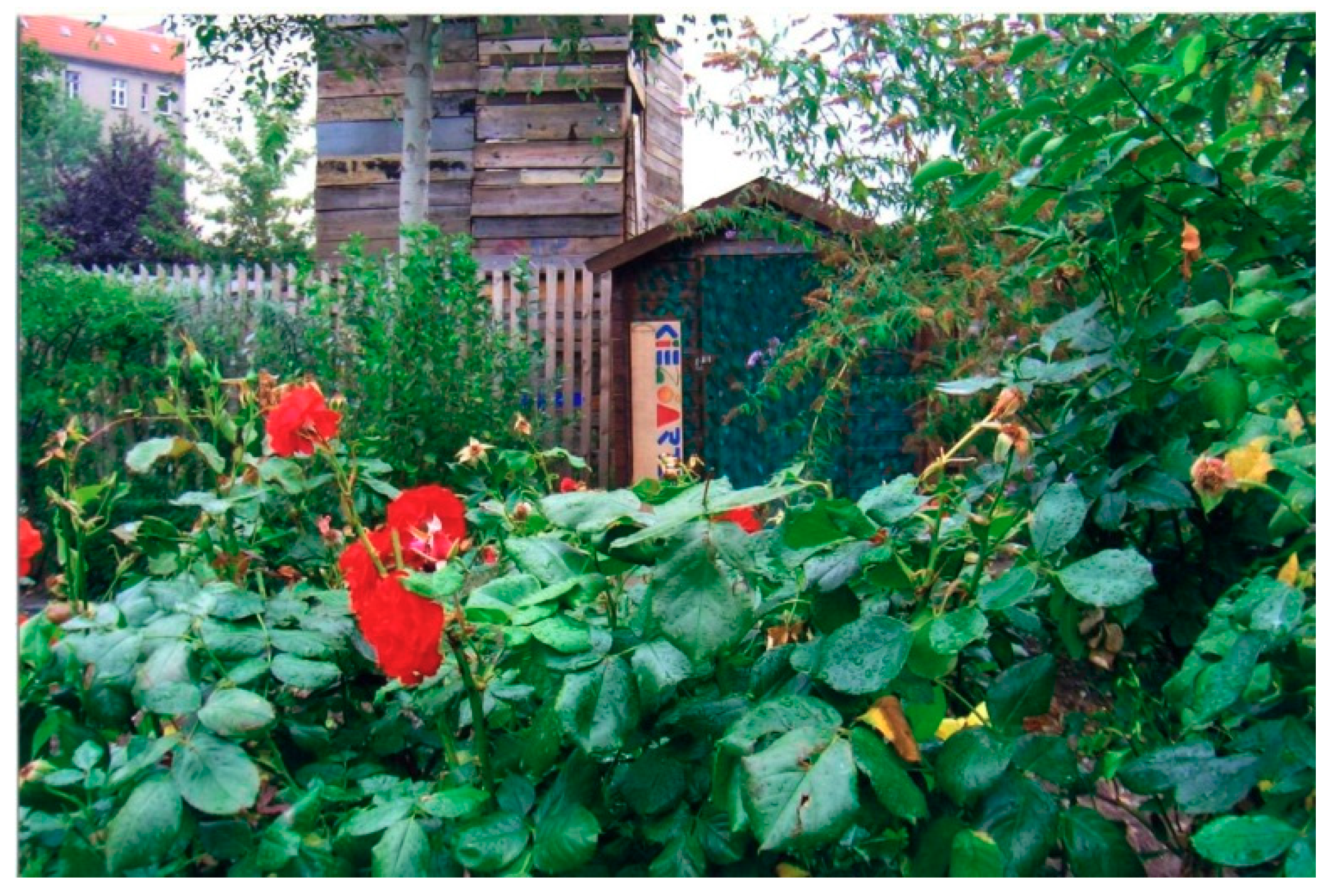 Sustainability 11 07204 g003