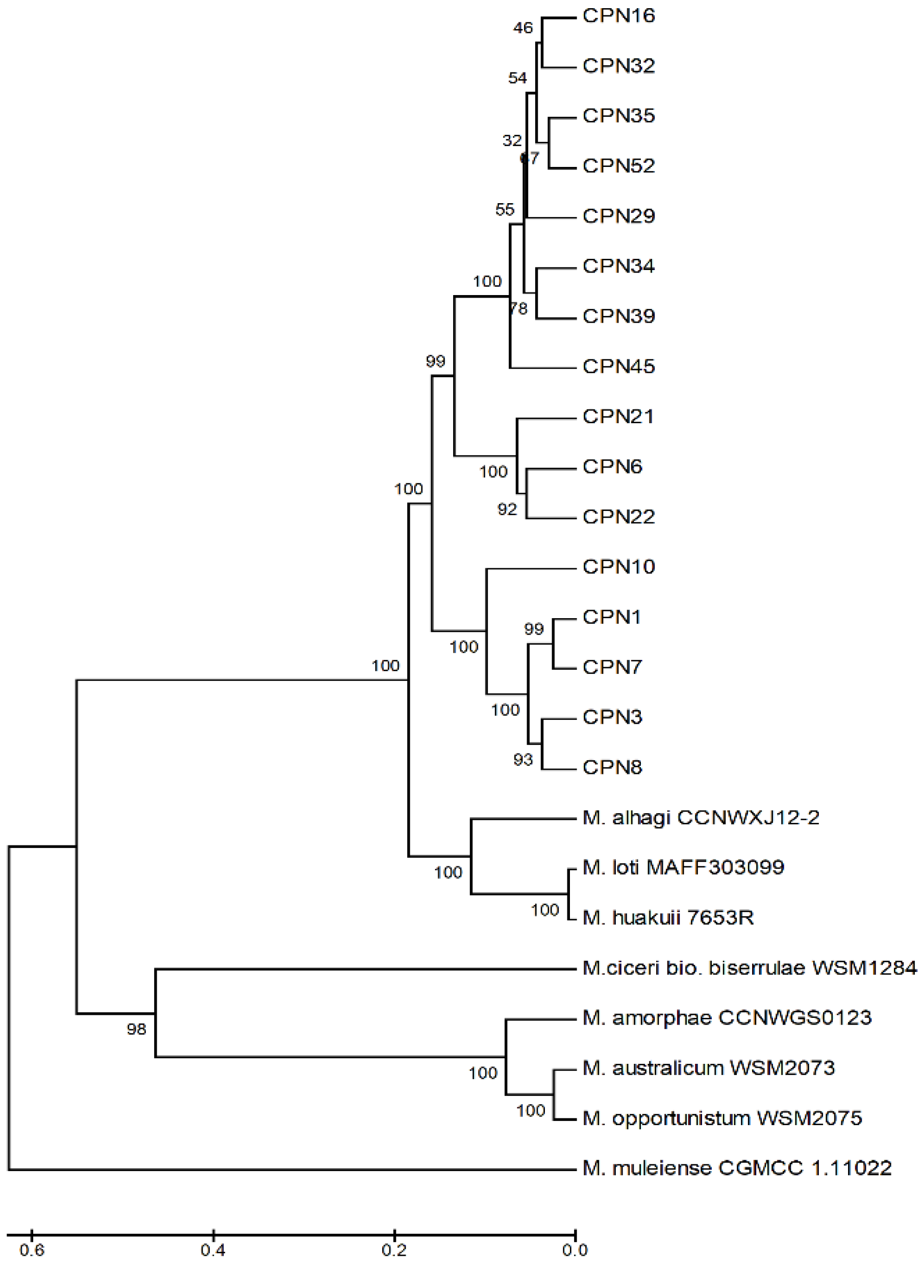 Sustainability 11 07216 g004