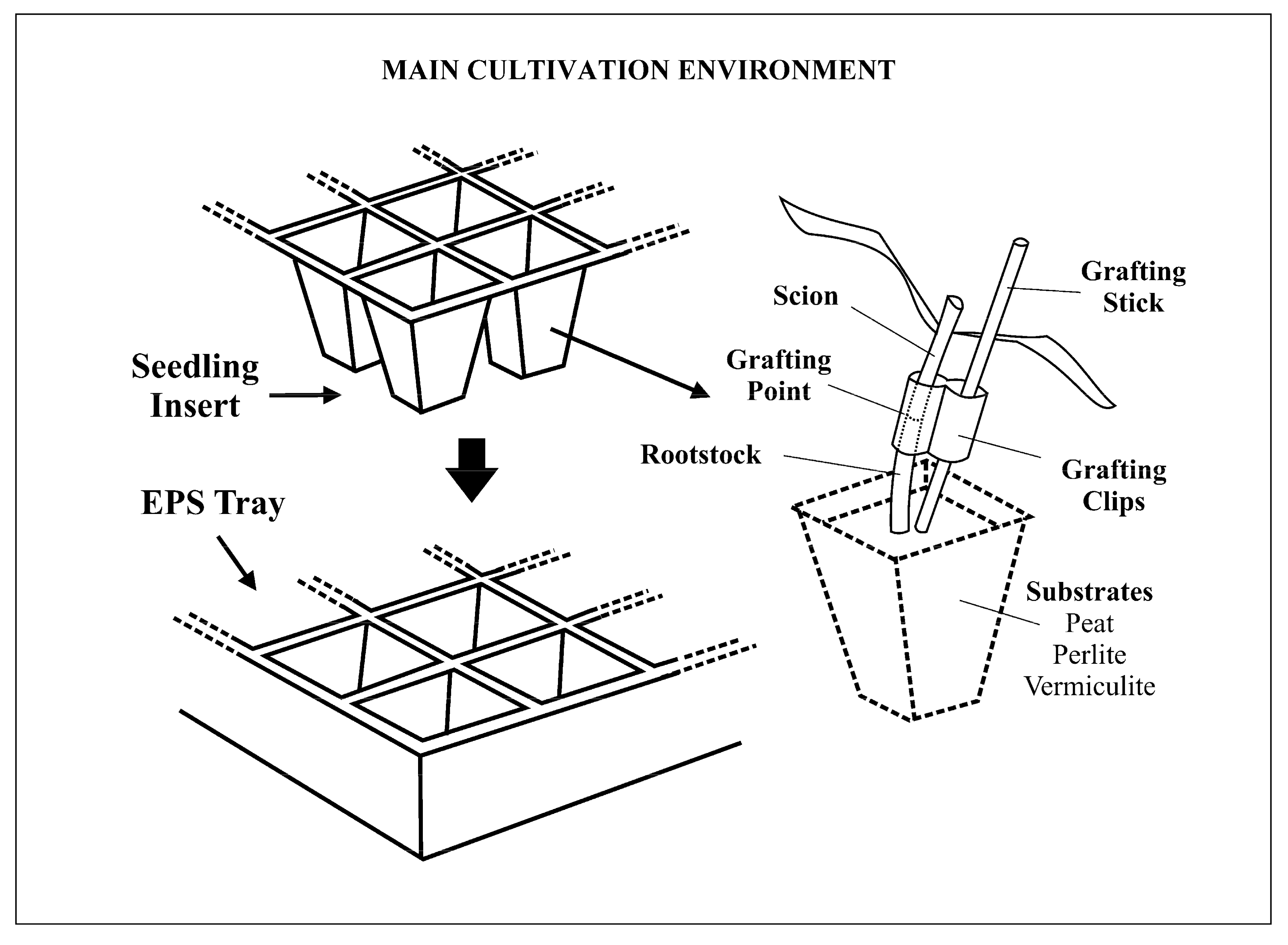 Sustainability 12 00025 g003