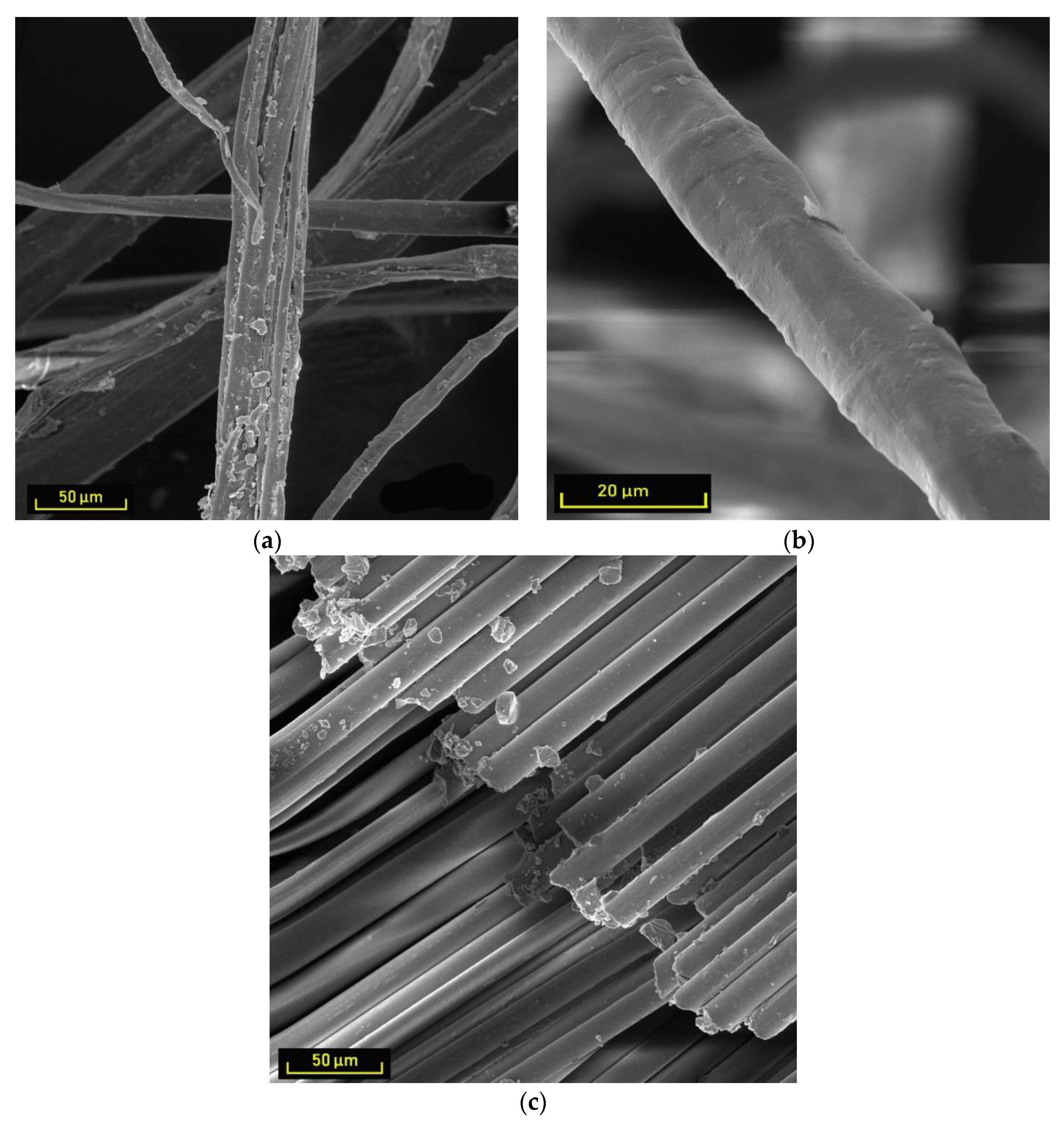 Sustainability 12 00118 g002