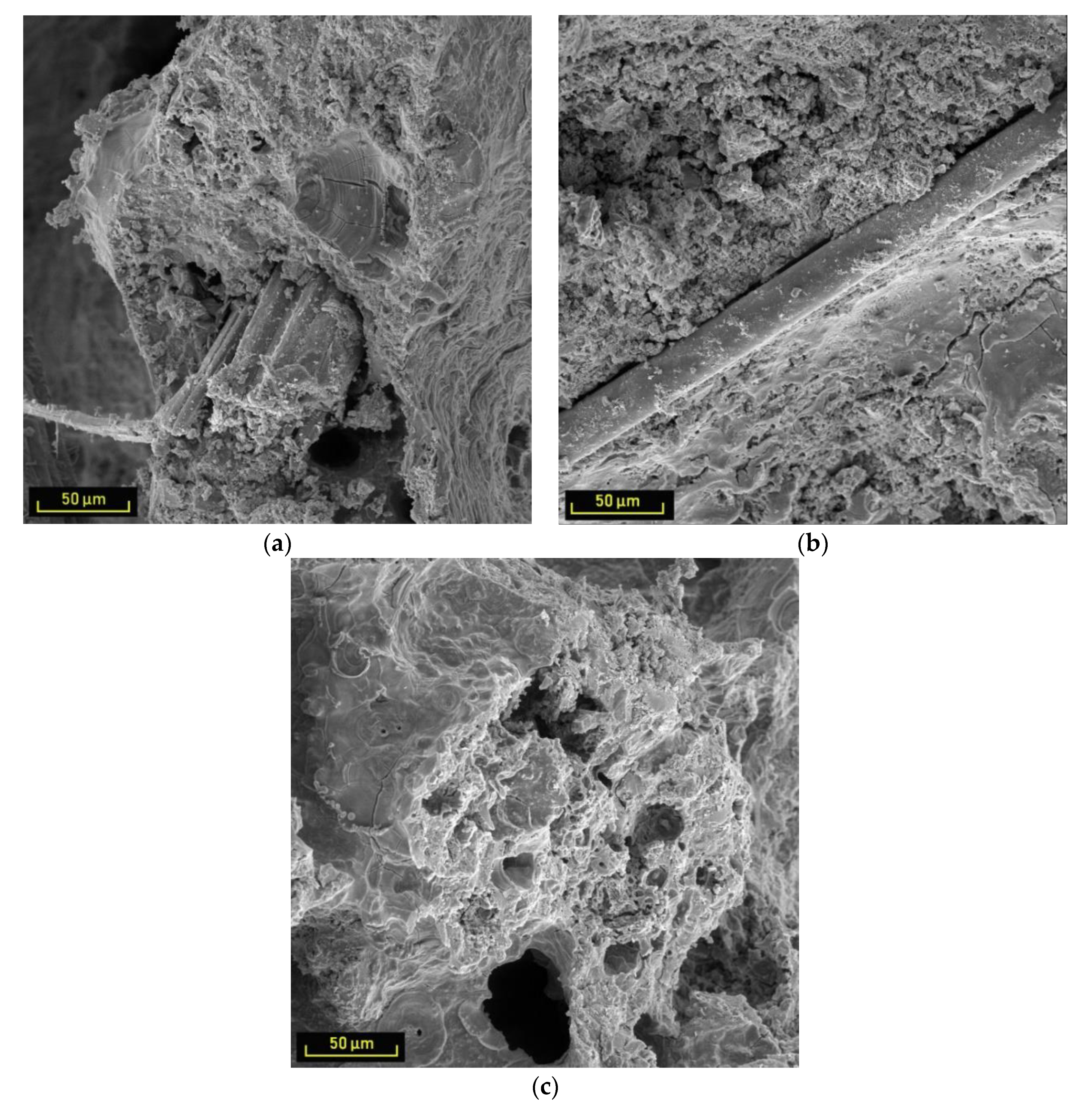 Sustainability 12 00118 g006