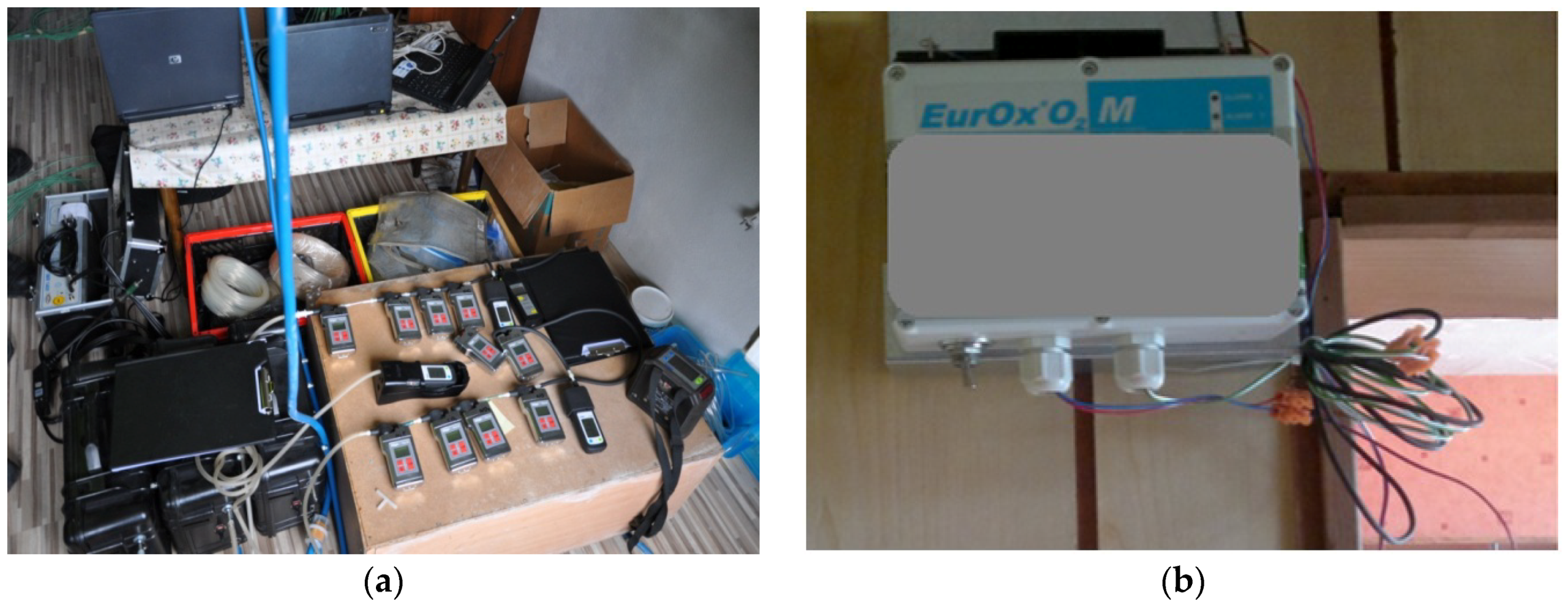 Sustainability 12 00223 g005