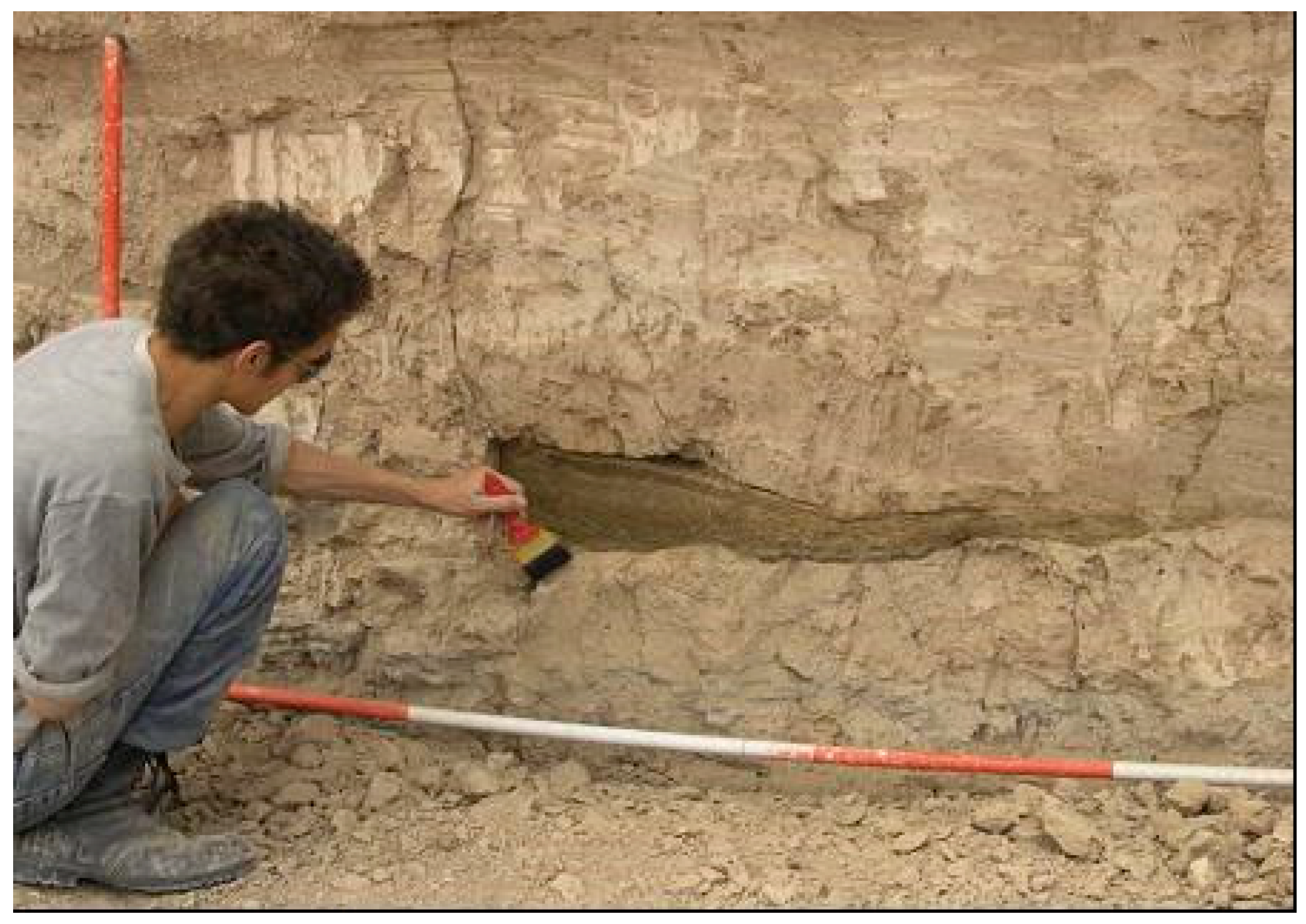 Sustainability 12 00416 g001