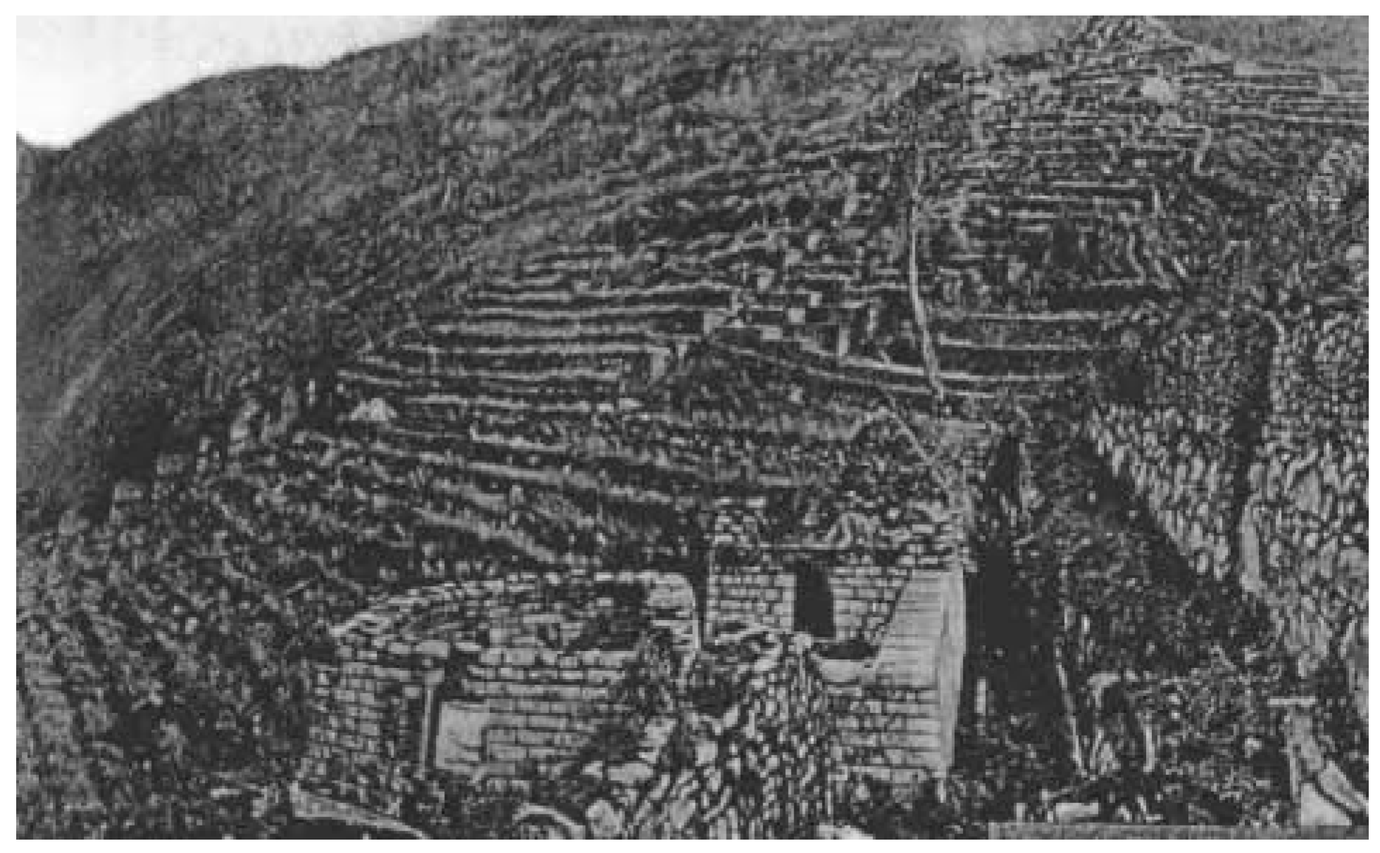 Sustainability 12 00416 g006