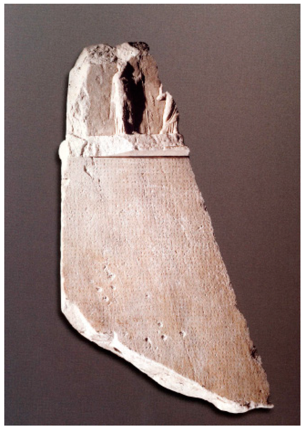 Sustainability 12 00416 g007