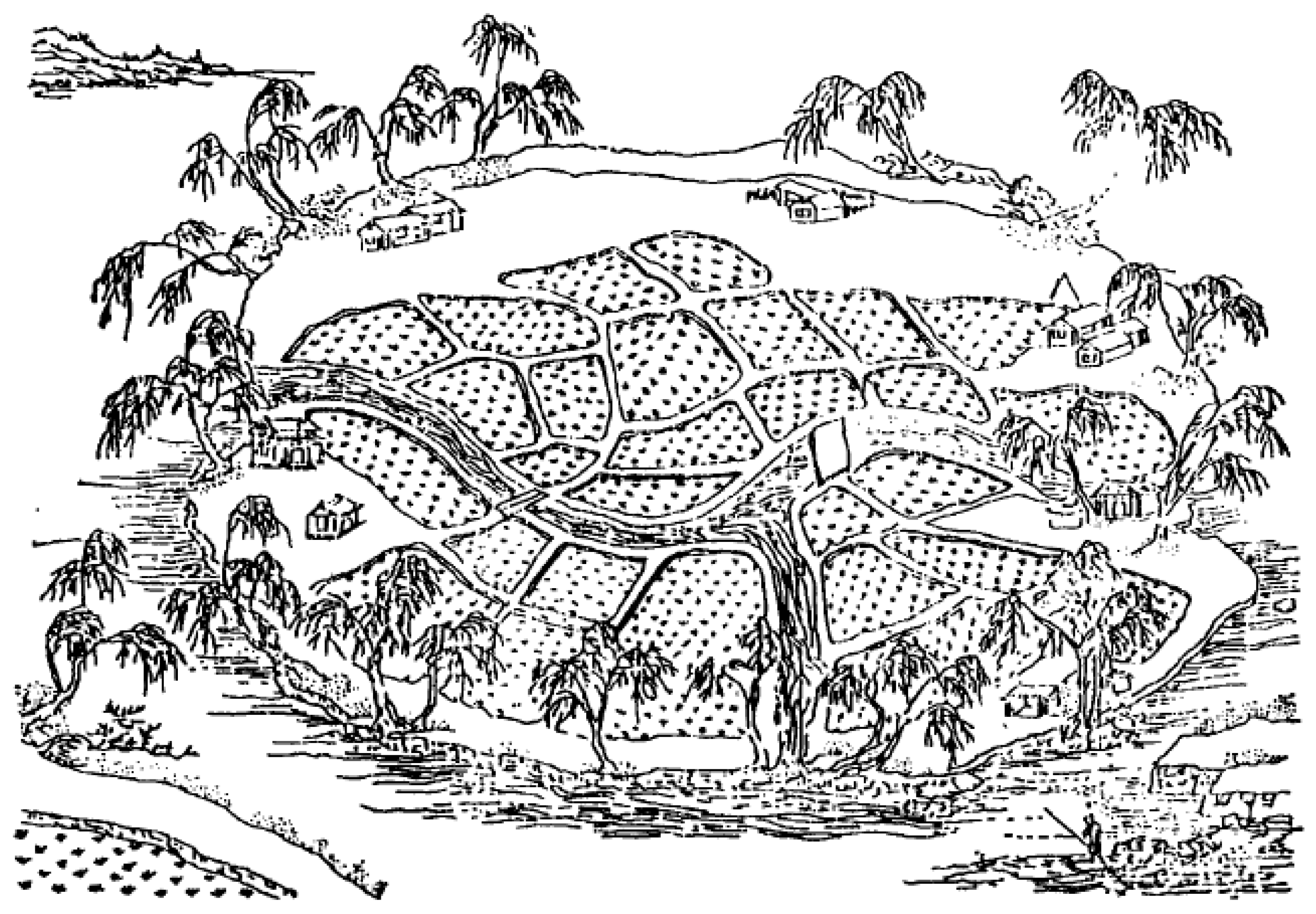 Sustainability 12 00416 g011