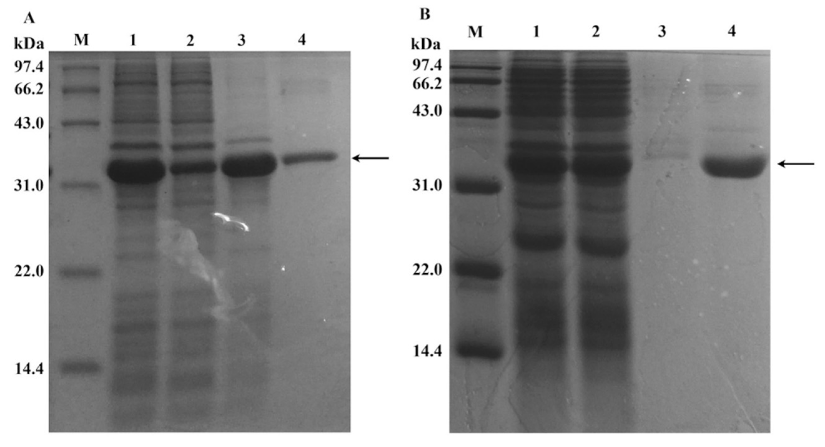 Sustainability 12 00431 g001 Sustainability 12 00431 g001
