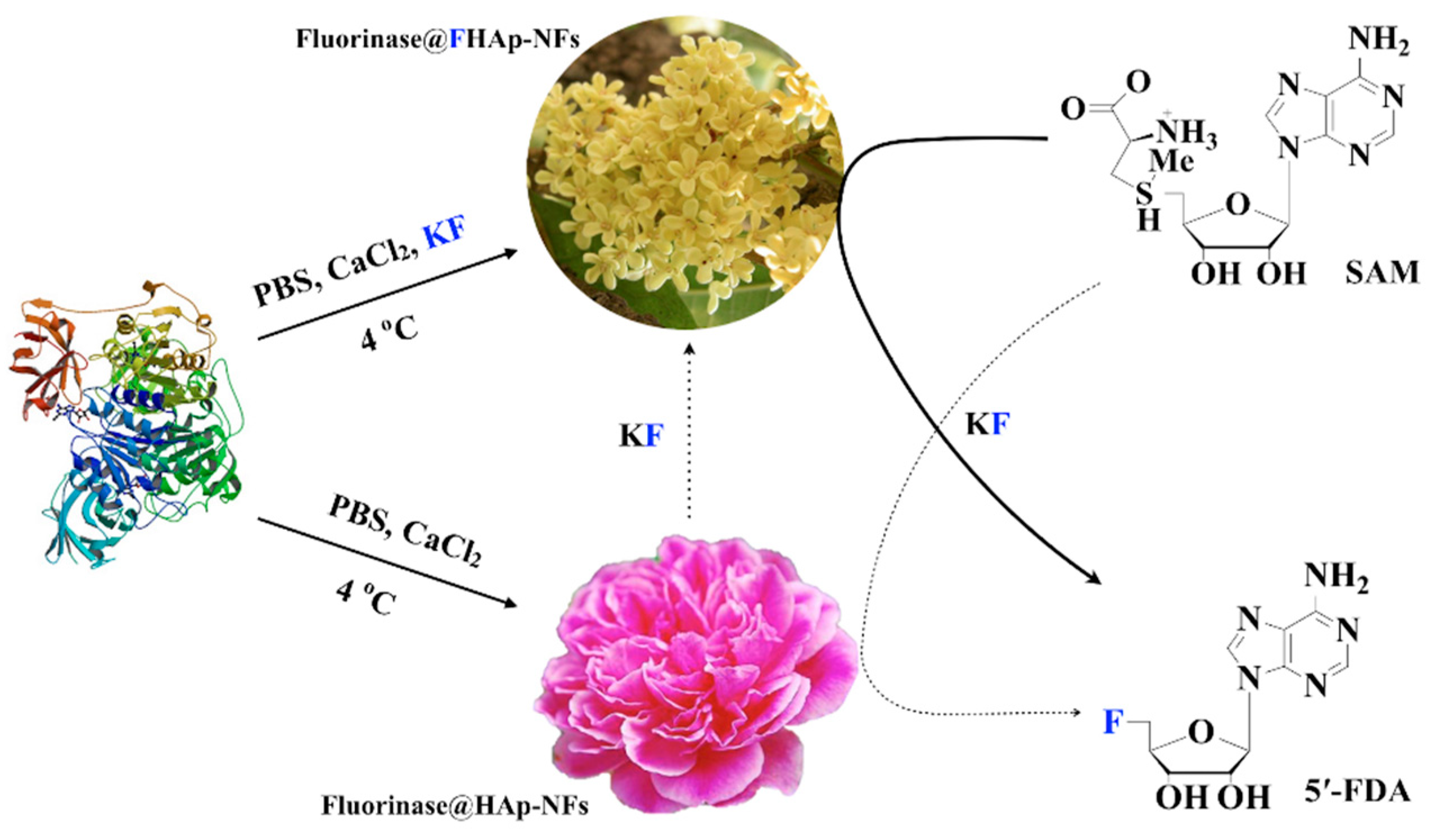 Sustainability 12 00431 sch001 Sustainability 12 00431 sch001