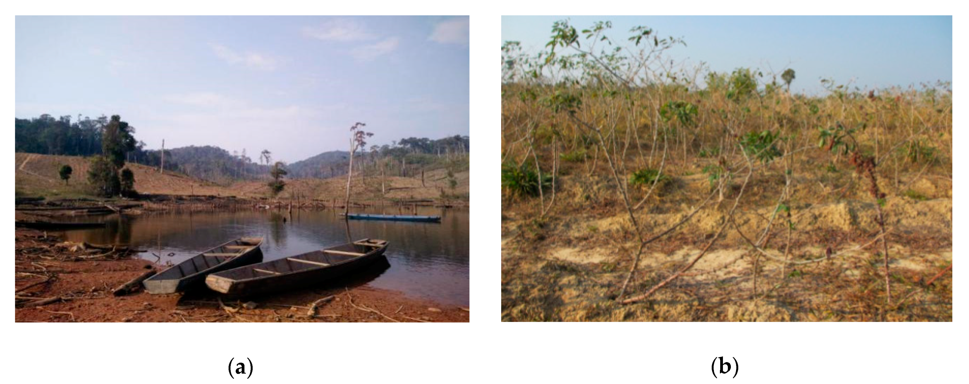 Sustainability 12 00520 g005