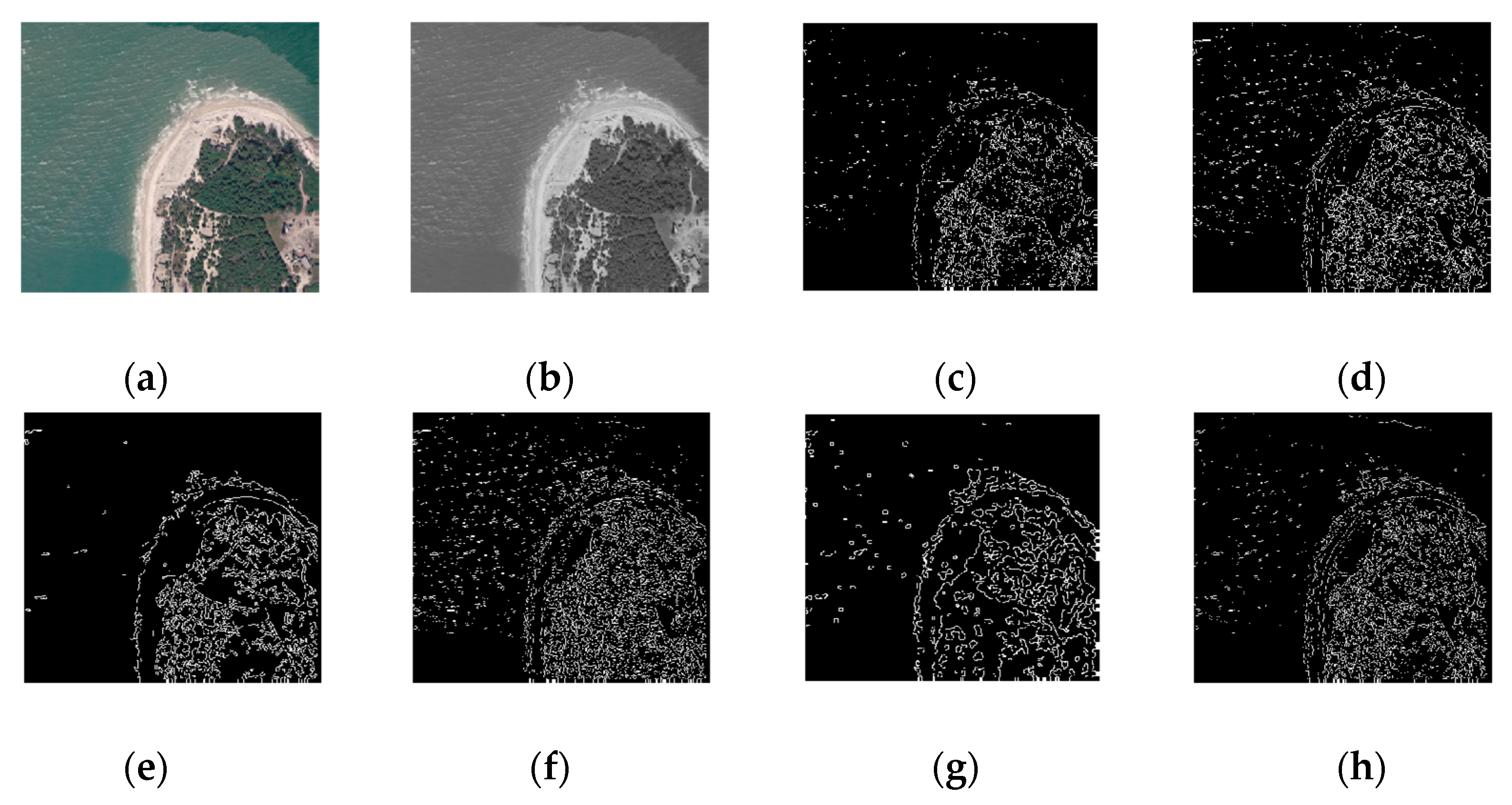 Sustainability 12 00548 g011