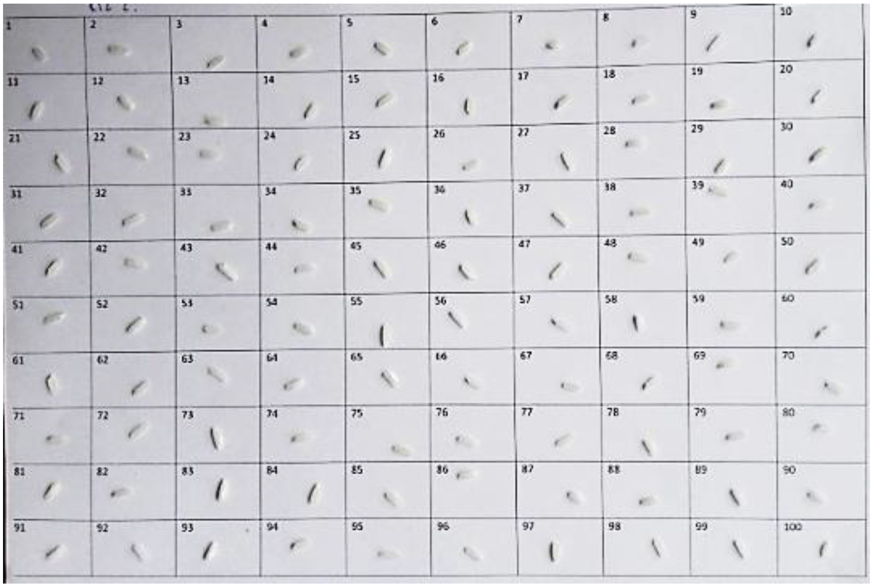 Sustainability 12 00552 g001