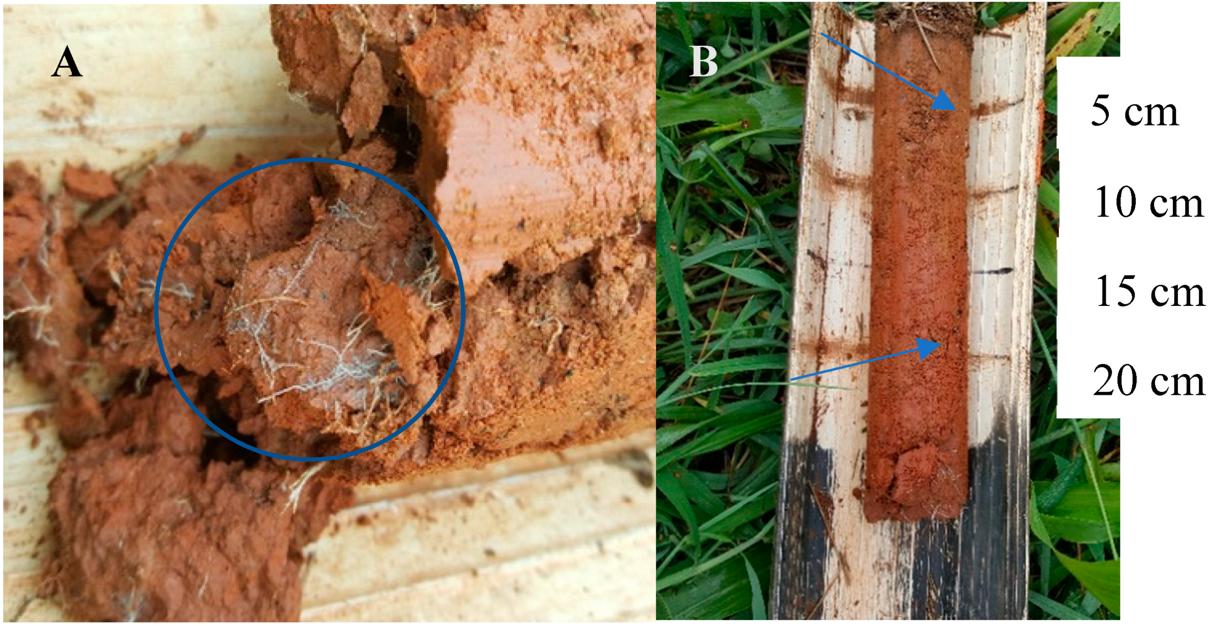 Sustainability 12 00558 g009