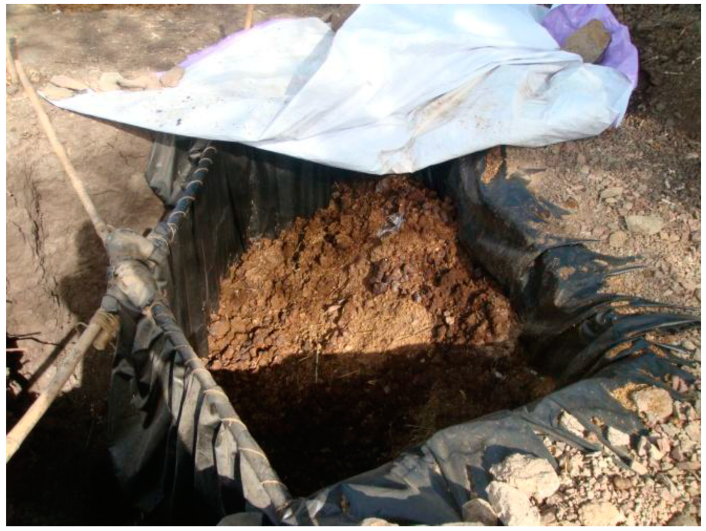 Sustainability 12 00607 g002