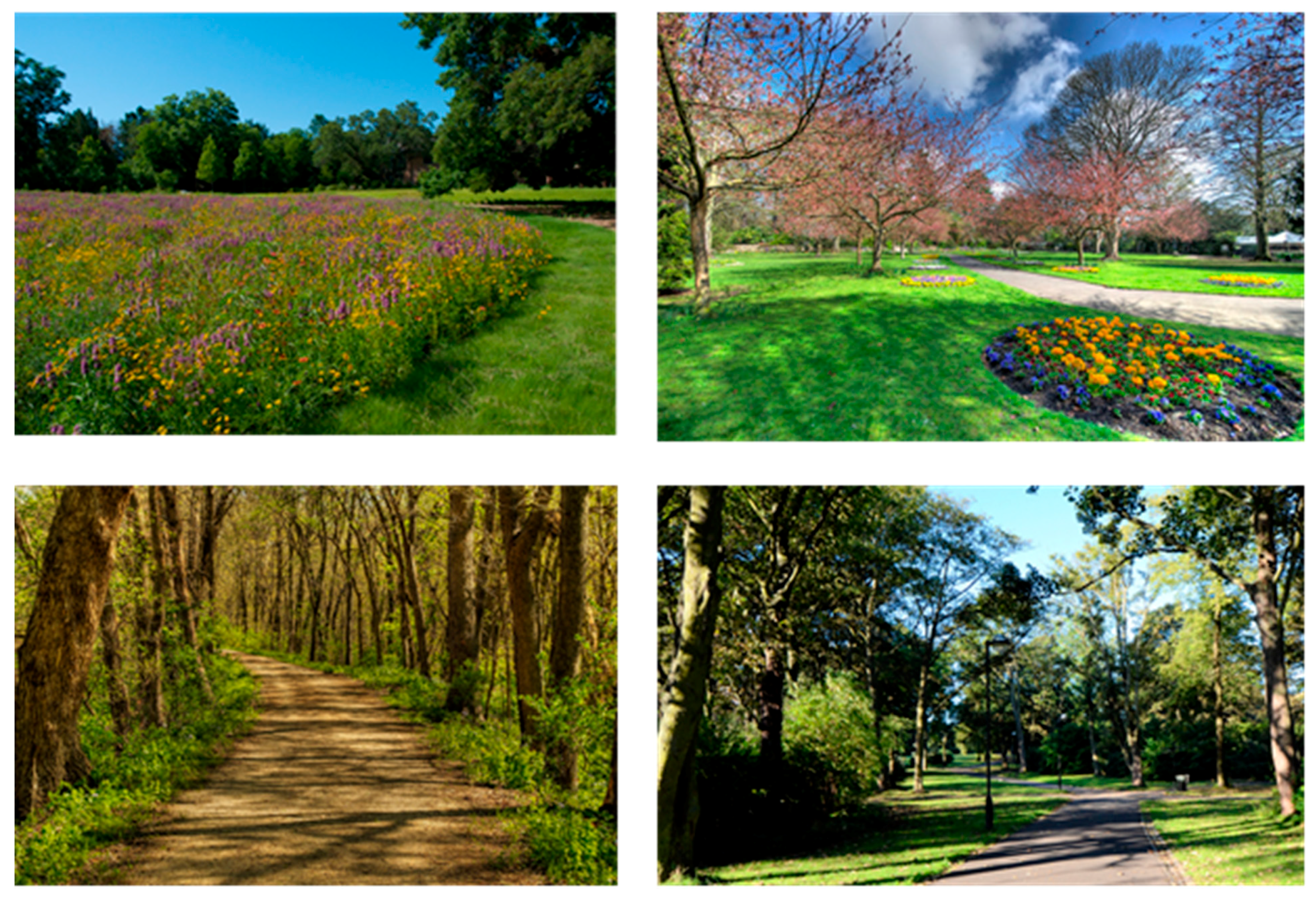 Sustainability 12 00695 g009 Sustainability 12 00695 g009