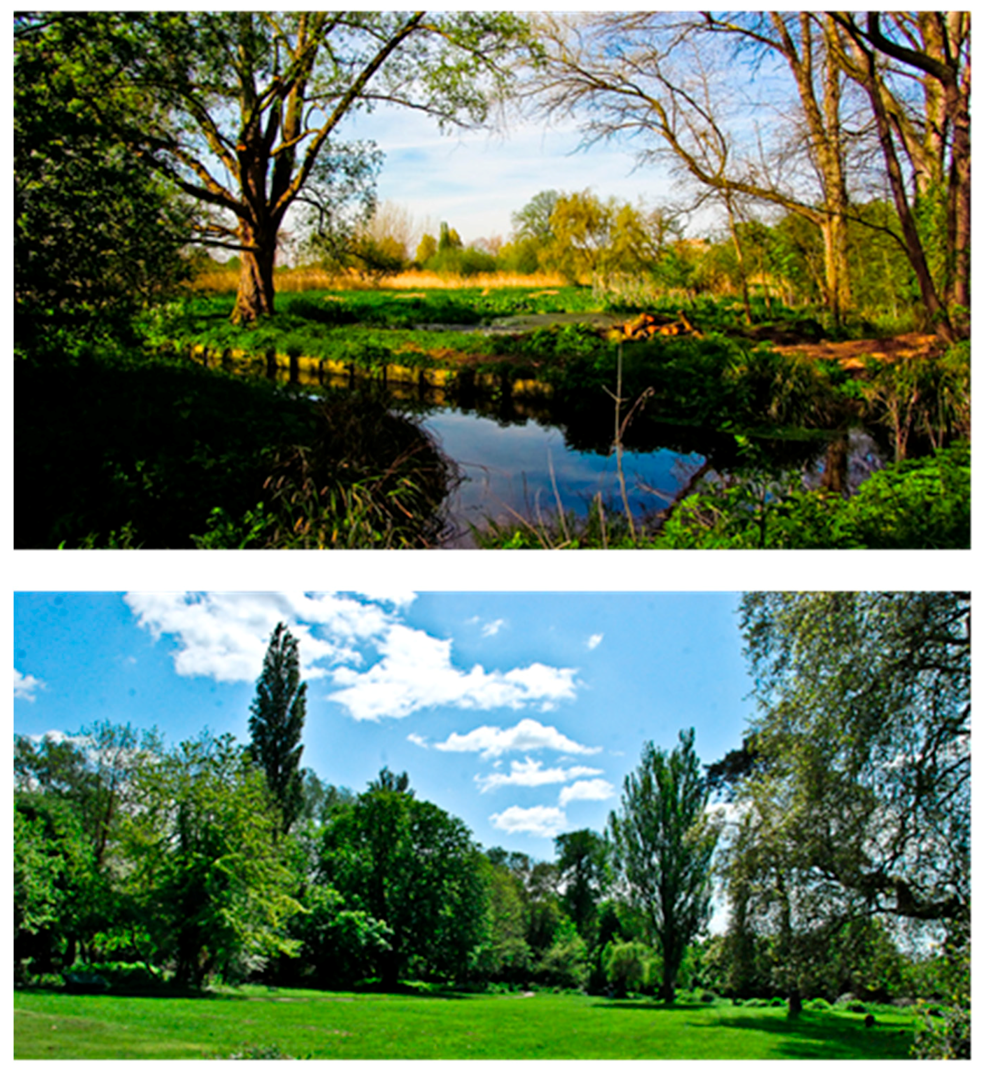 Sustainability 12 00695 g012 Sustainability 12 00695 g012