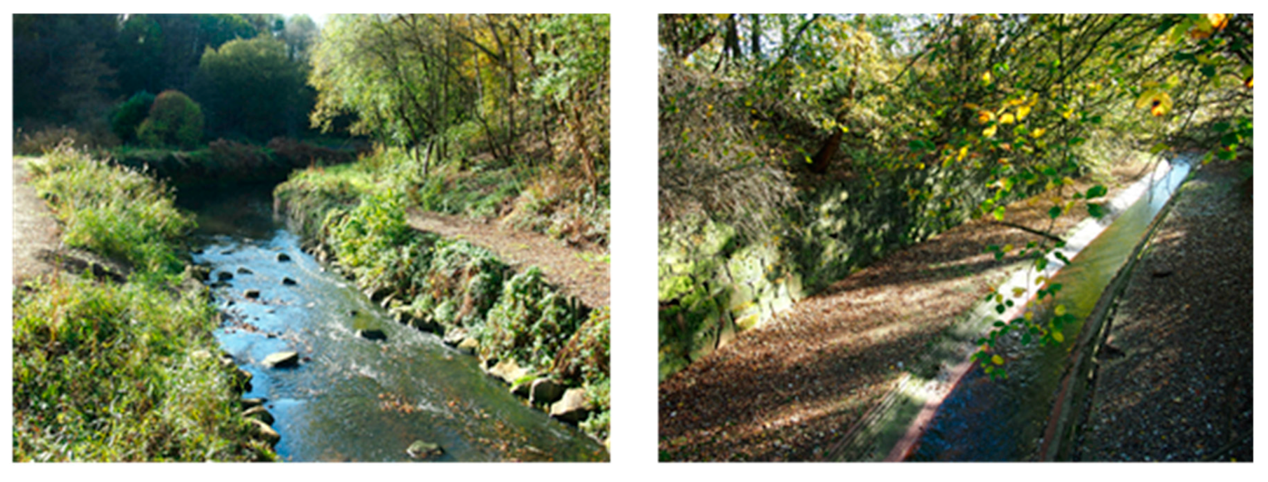 Sustainability 12 00695 g013 Sustainability 12 00695 g013