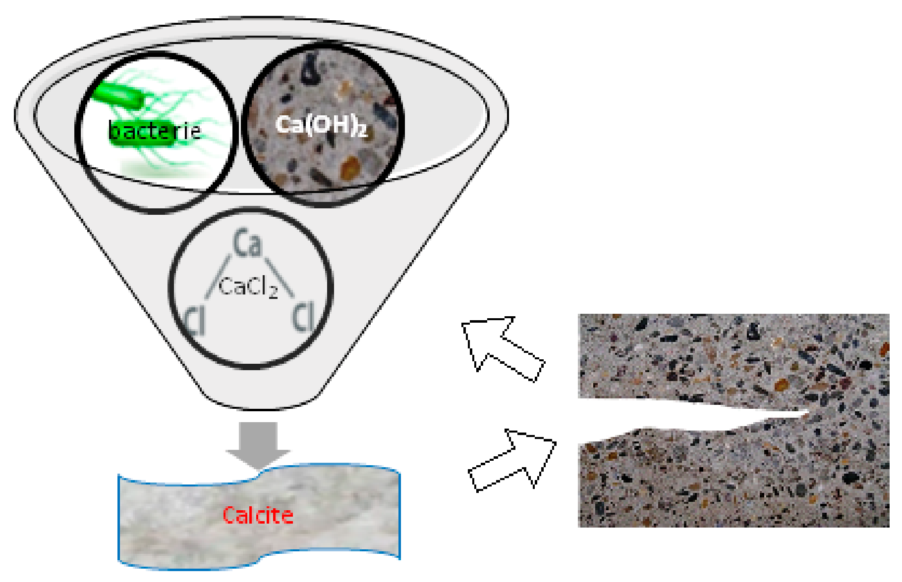 Sustainability 12 00696 g001