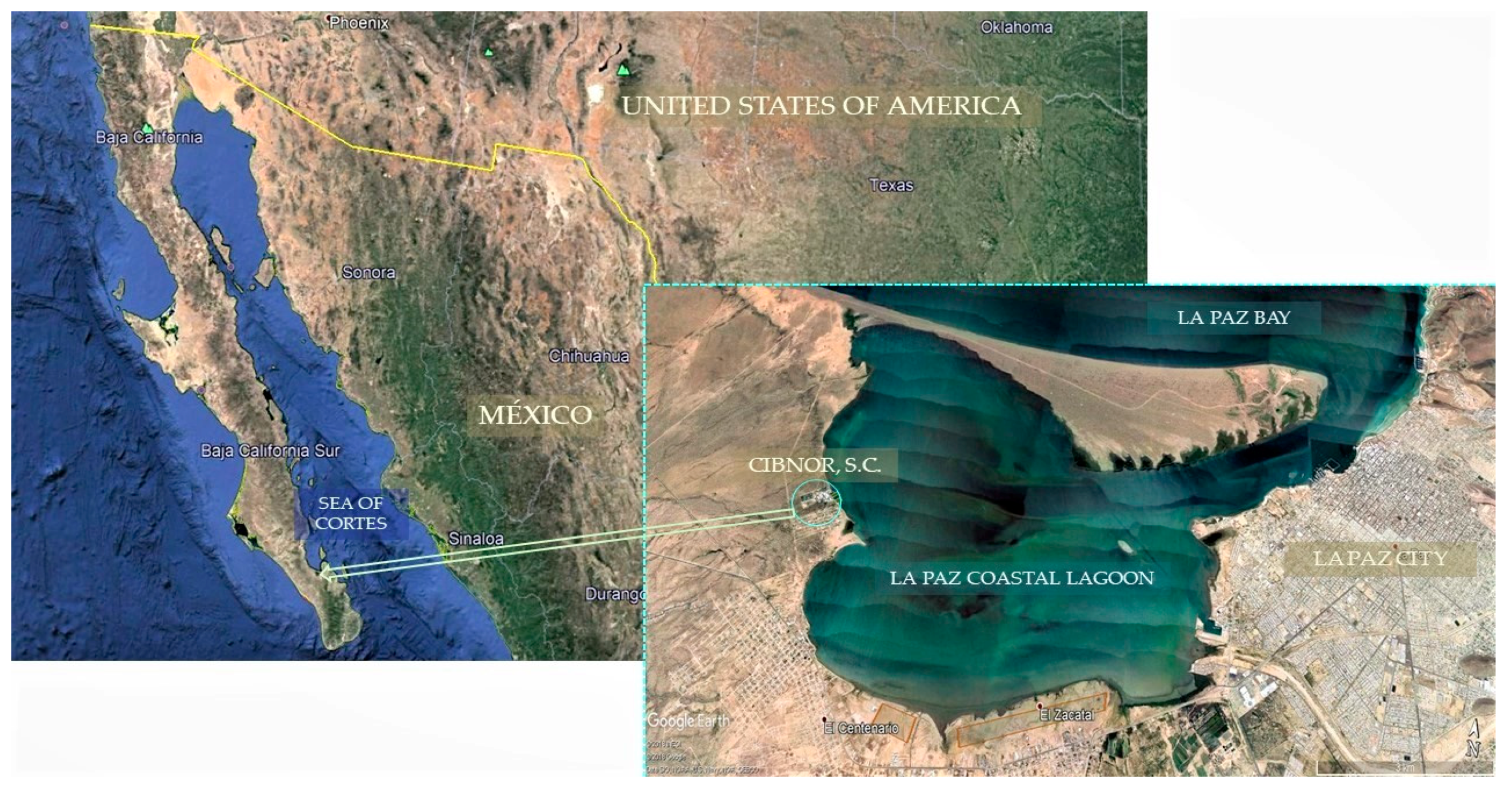 Sustainability 12 00707 g001