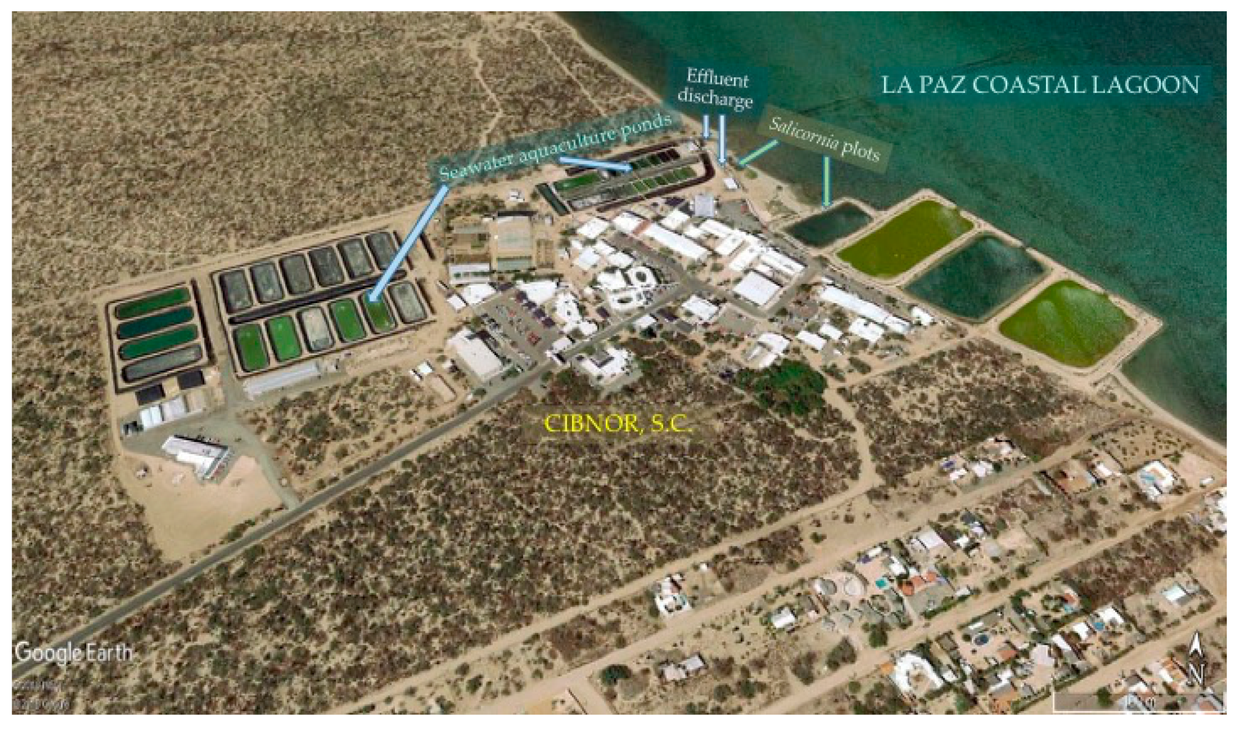 Sustainability 12 00707 g002