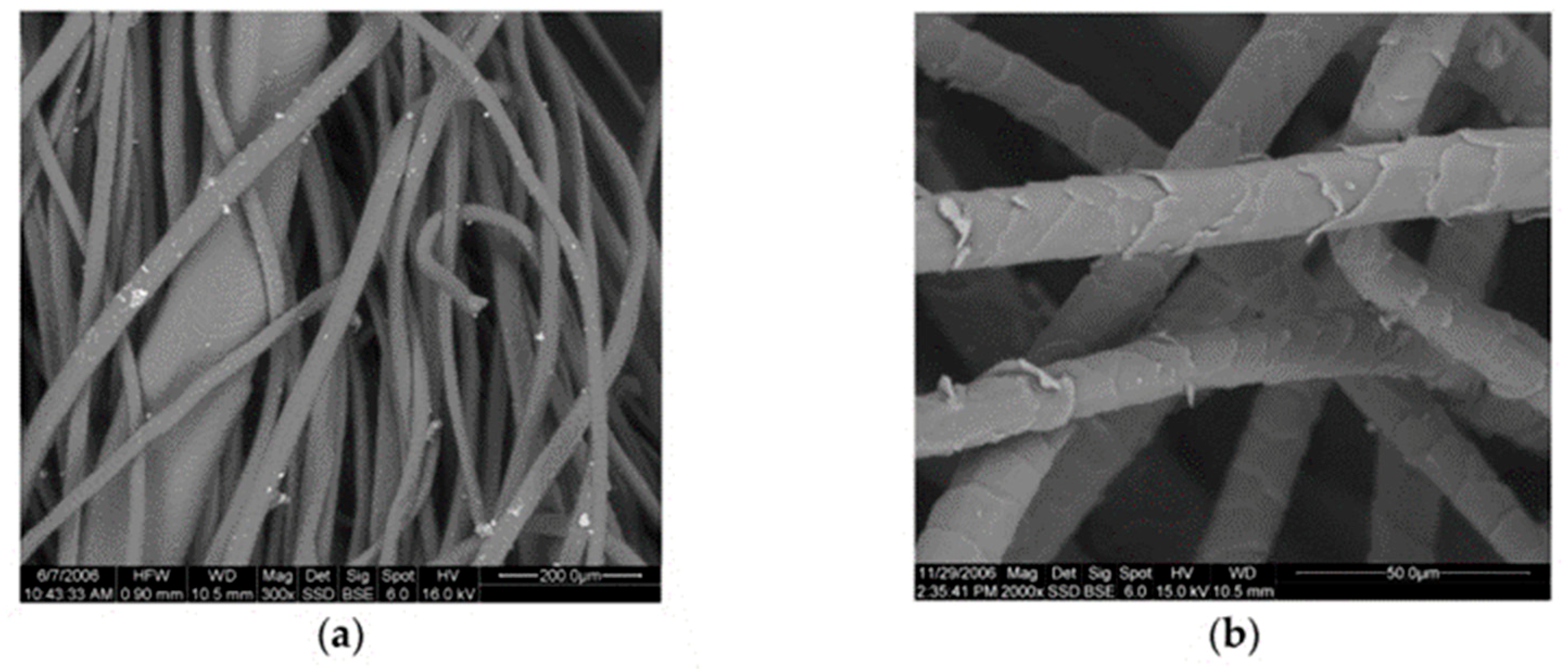 Sustainability 12 00761 g001