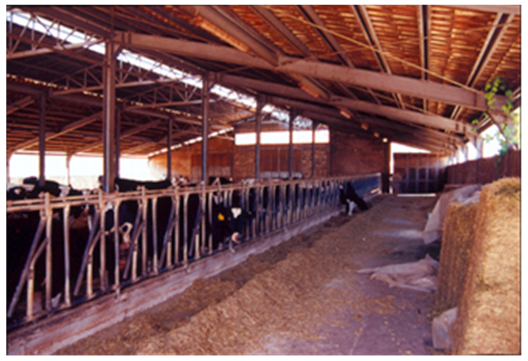 Sustainability 12 00761 g004