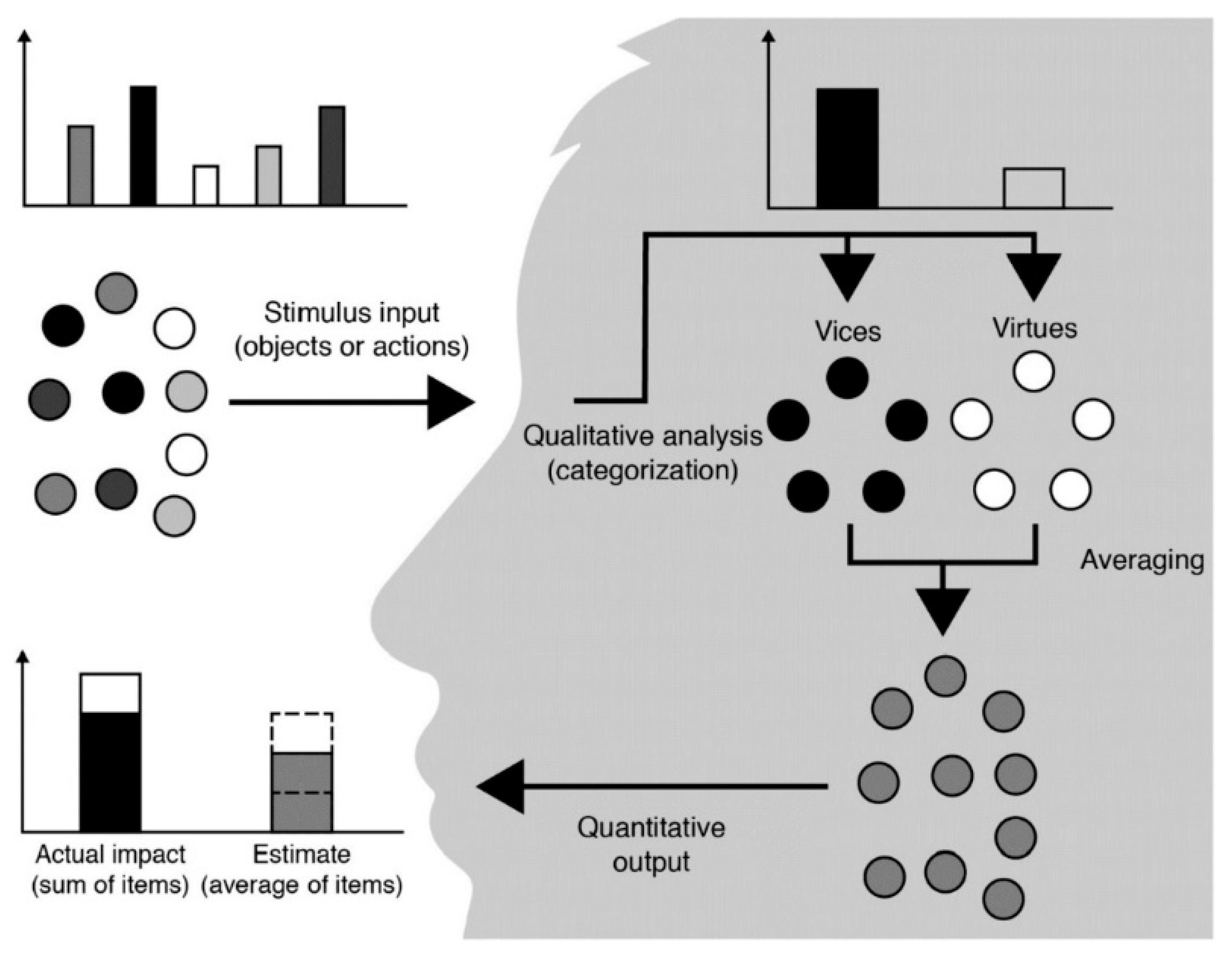 Sustainability 12 00808 g001