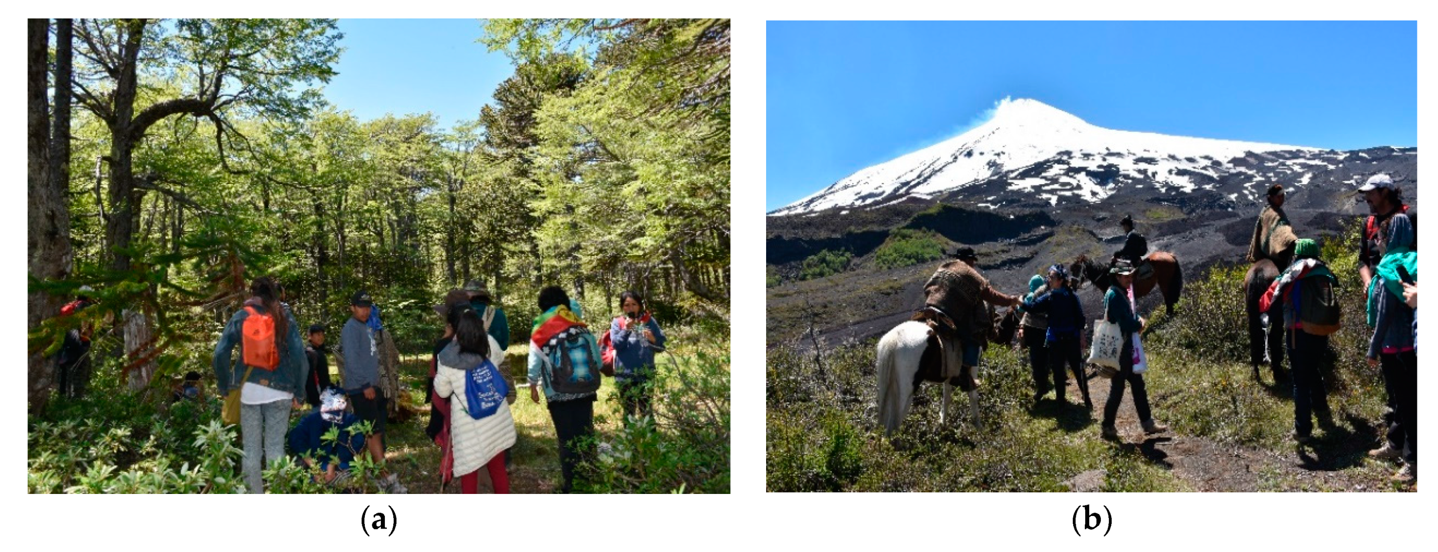 Sustainability 12 00817 g002 Sustainability 12 00817 g002