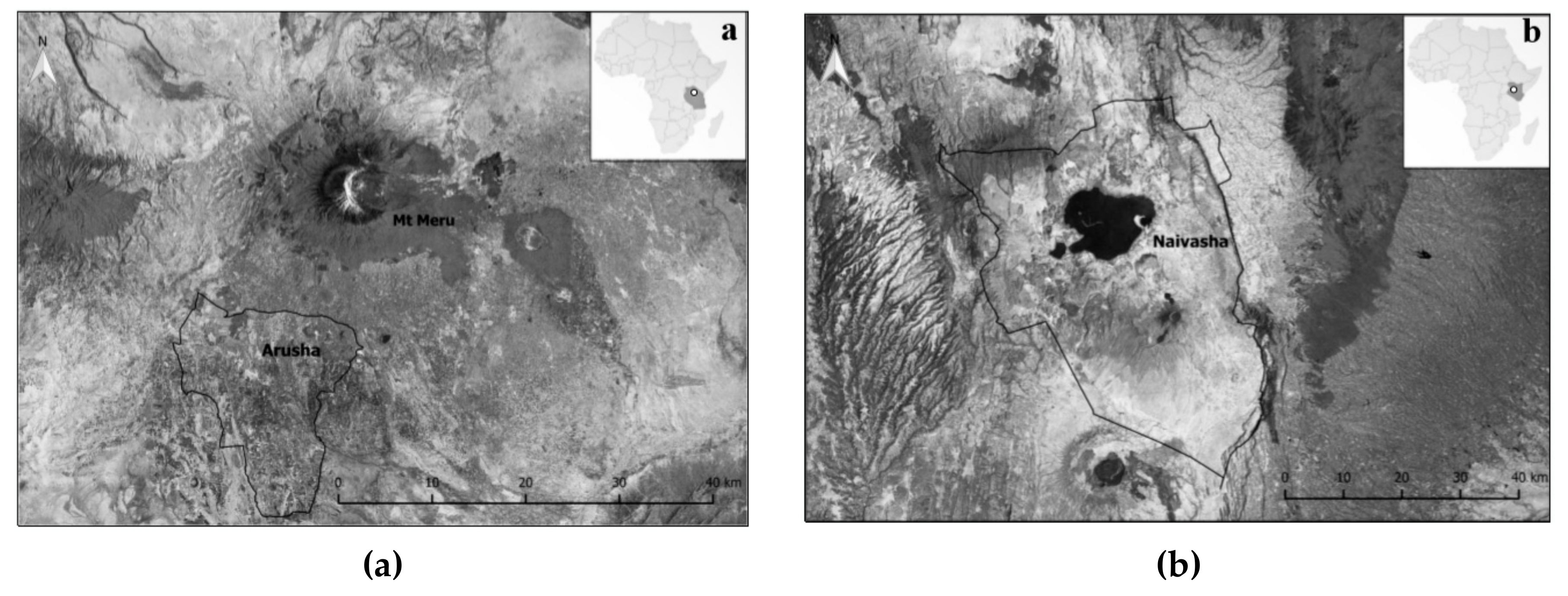 Sustainability 12 00827 g001 Sustainability 12 00827 g001