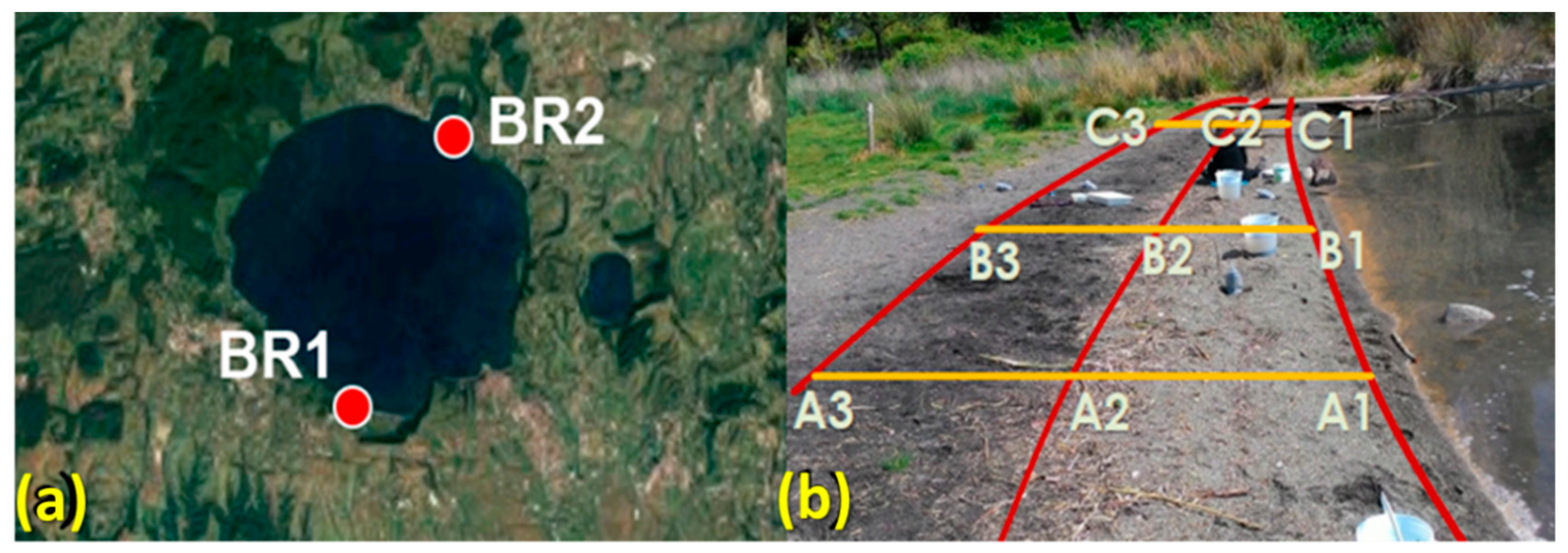 Sustainability 12 00878 g001