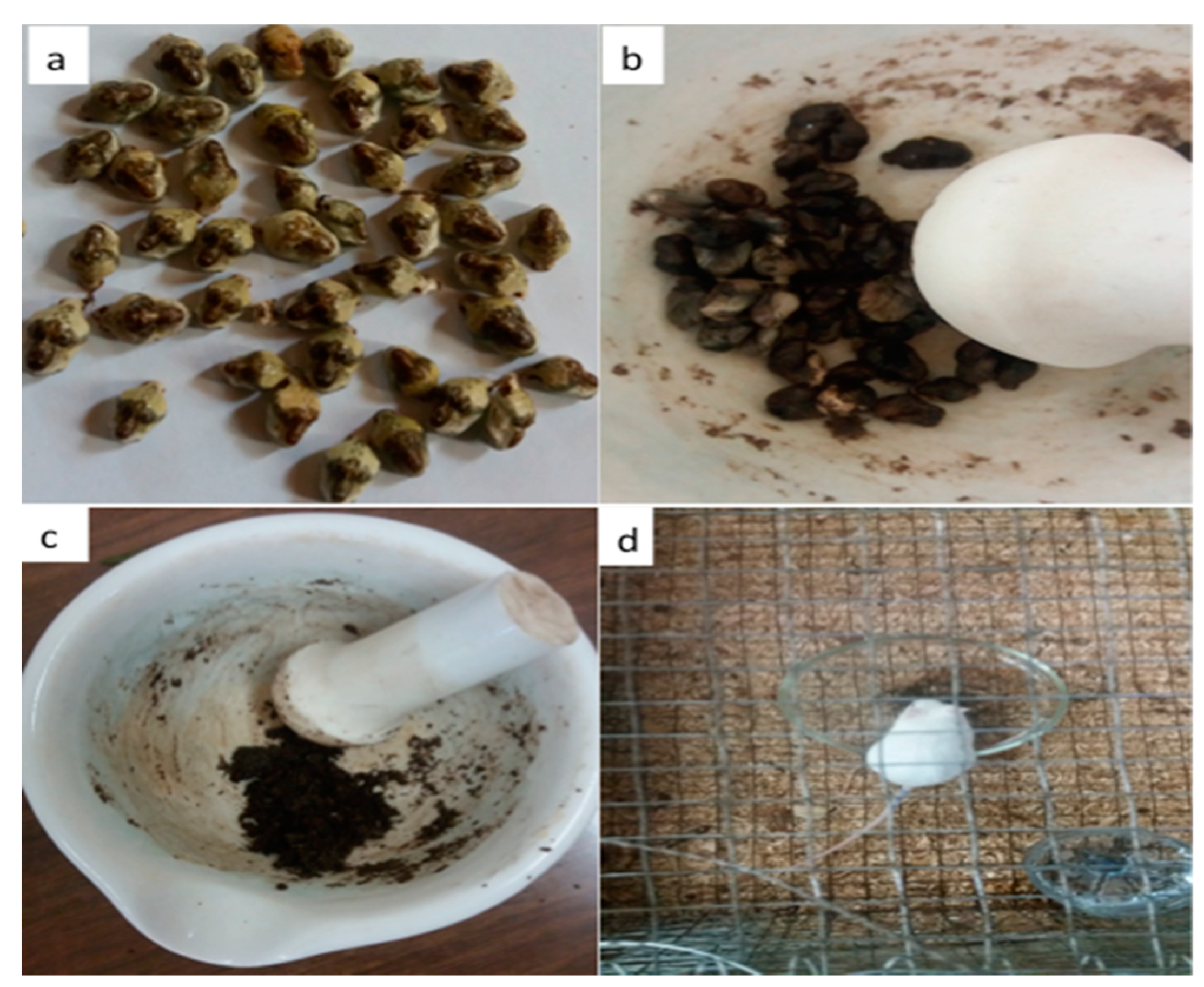 Sustainability 12 00942 g002