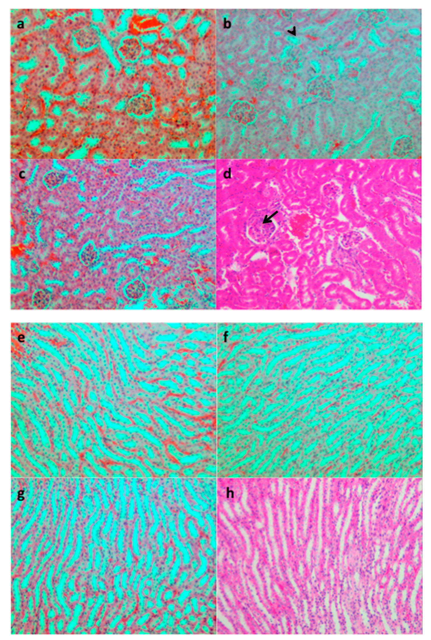 Sustainability 12 00942 g003