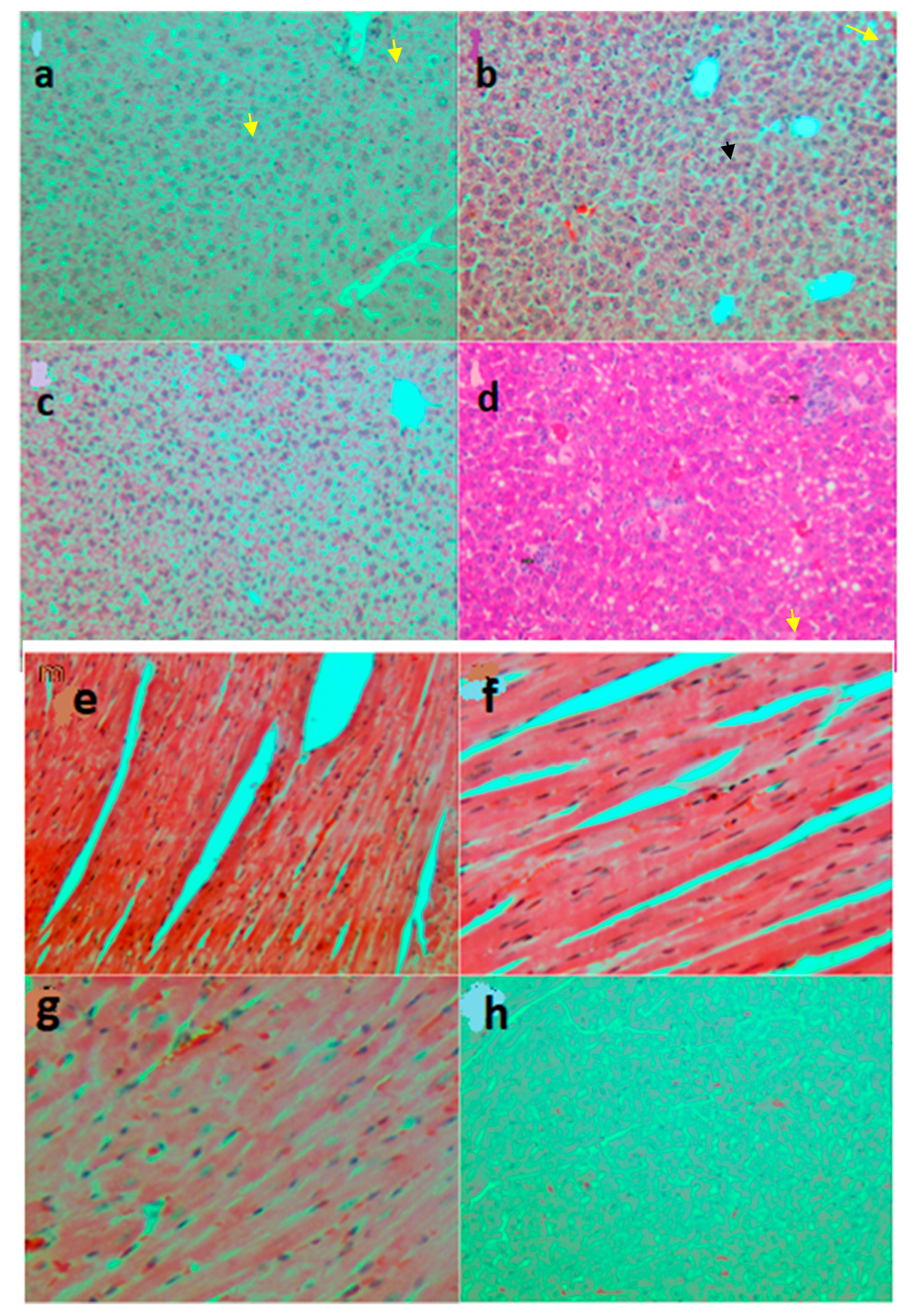 Sustainability 12 00942 g004