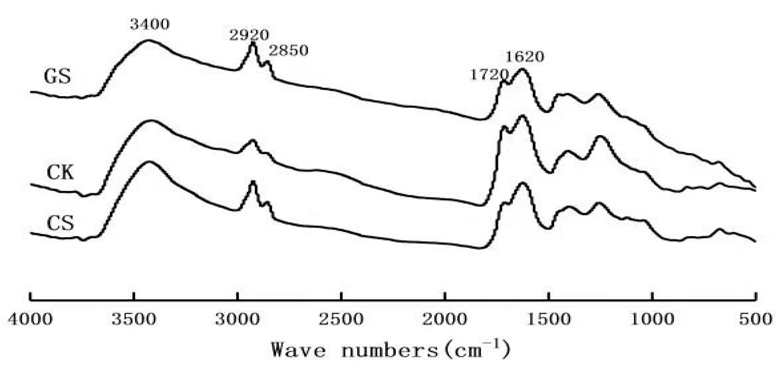 Sustainability 12 01005 g003 Sustainability 12 01005 g003