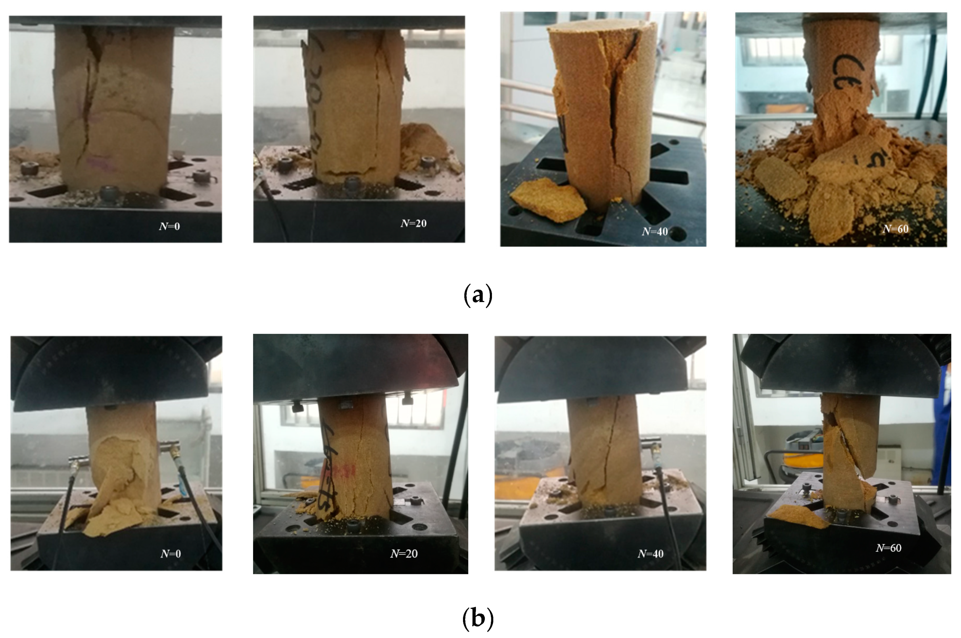 Sustainability 12 01029 g013a